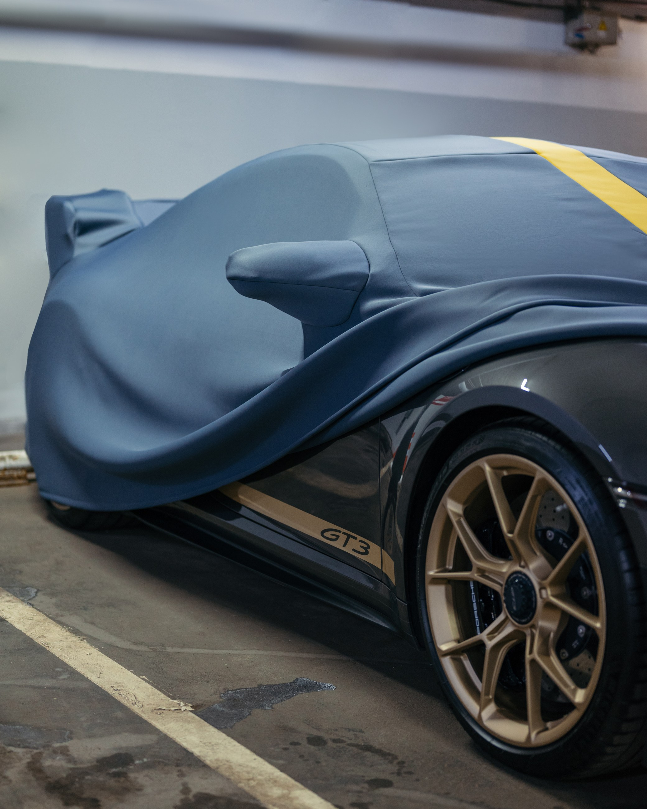 Porsche GT3 и BMW M4 чехлы для гаражного хранения. DeLorein