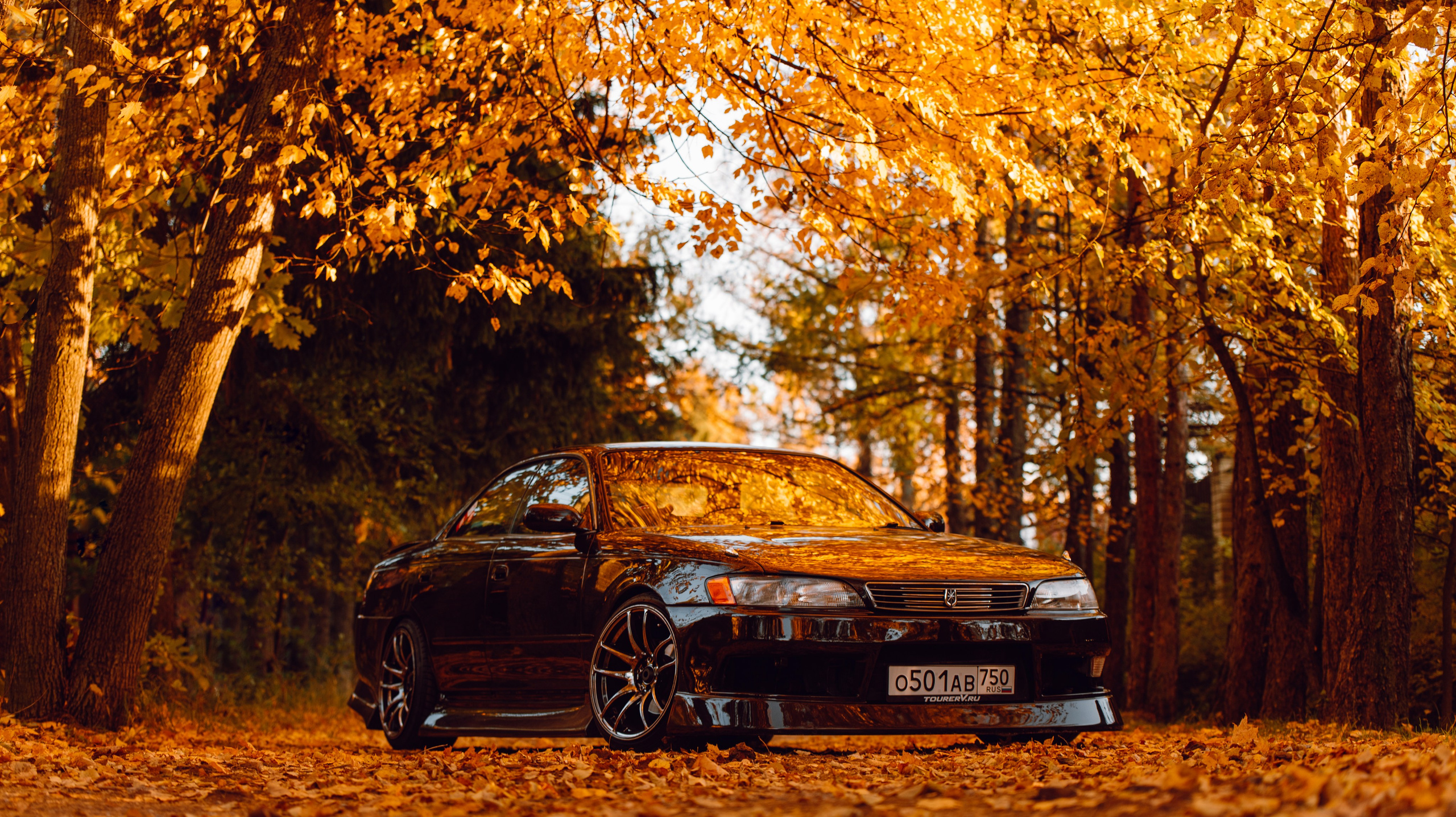 Toyota Mark ii _k_koroleva. DeLorein