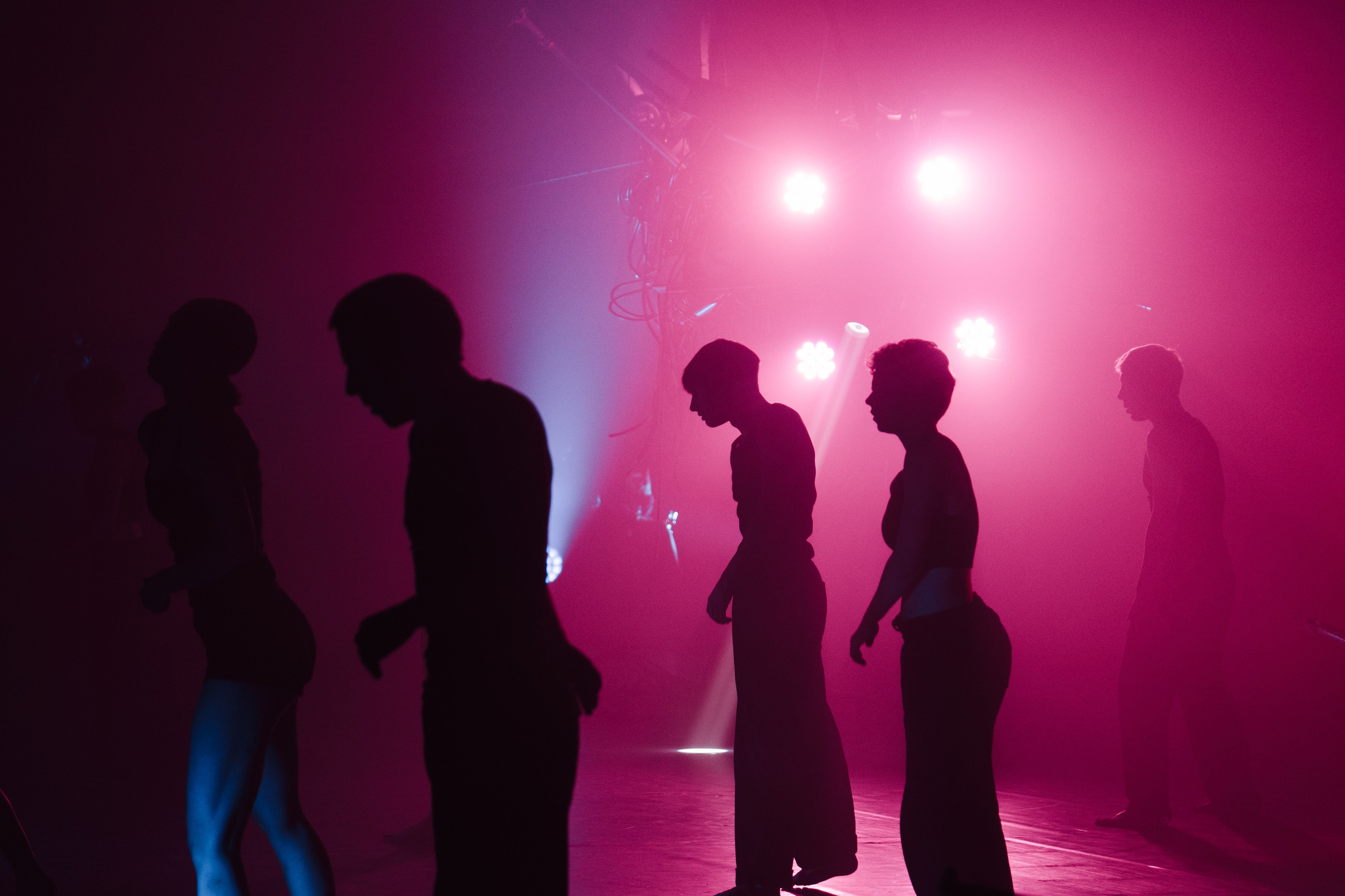 PERFORMA, The Hour of the Horse. @tomrus: Рустам Шагиморданов — фотограф