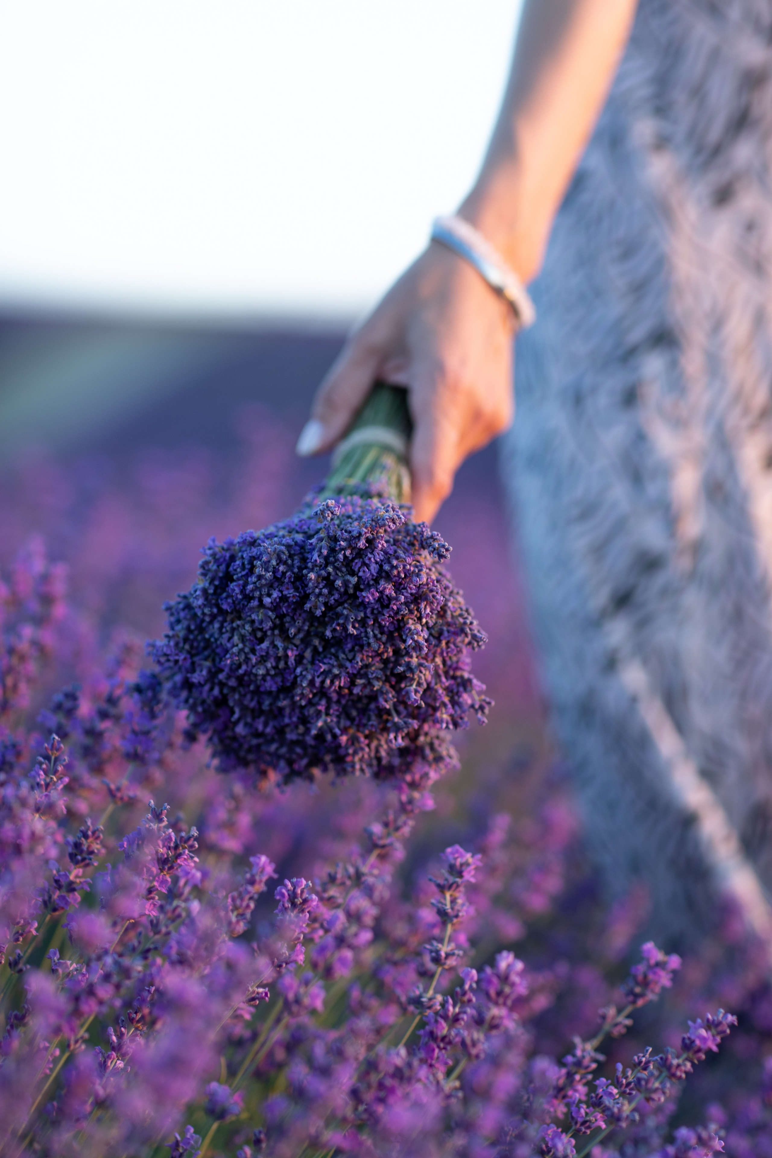 Портфолио. Фотограф Севастополь/Крым Светлана Евтушенко