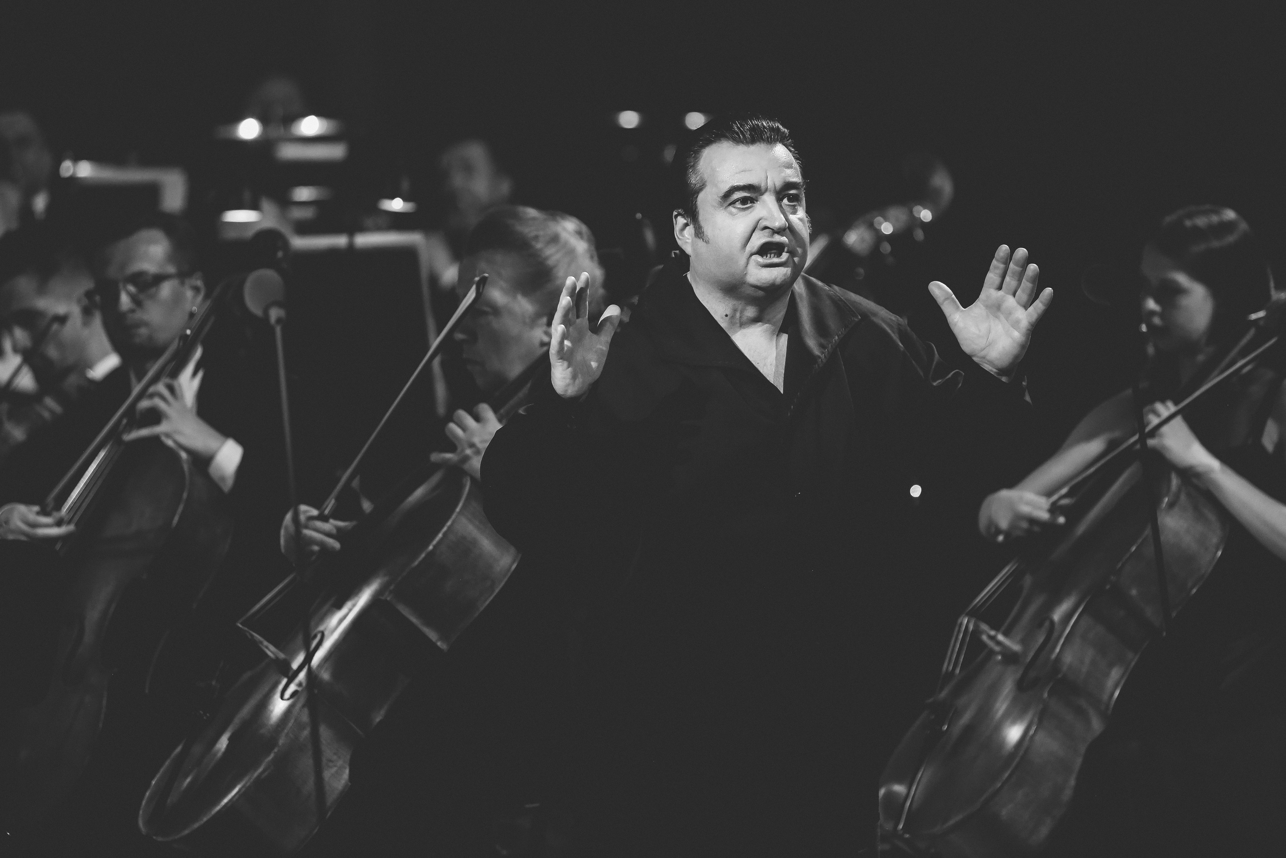 Концерт к 30-летию театра «Новая опера». Дарья Письменюк / Darya Leitstern — фотограф, музыкант, журналист, путешественник