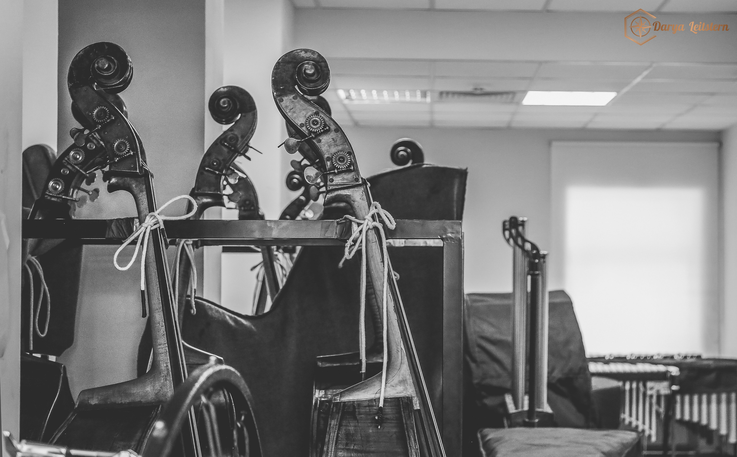 Театрально-концертный репортаж. Дарья Письменюк / Darya Leitstern — фотограф, музыкант, журналист, путешественник