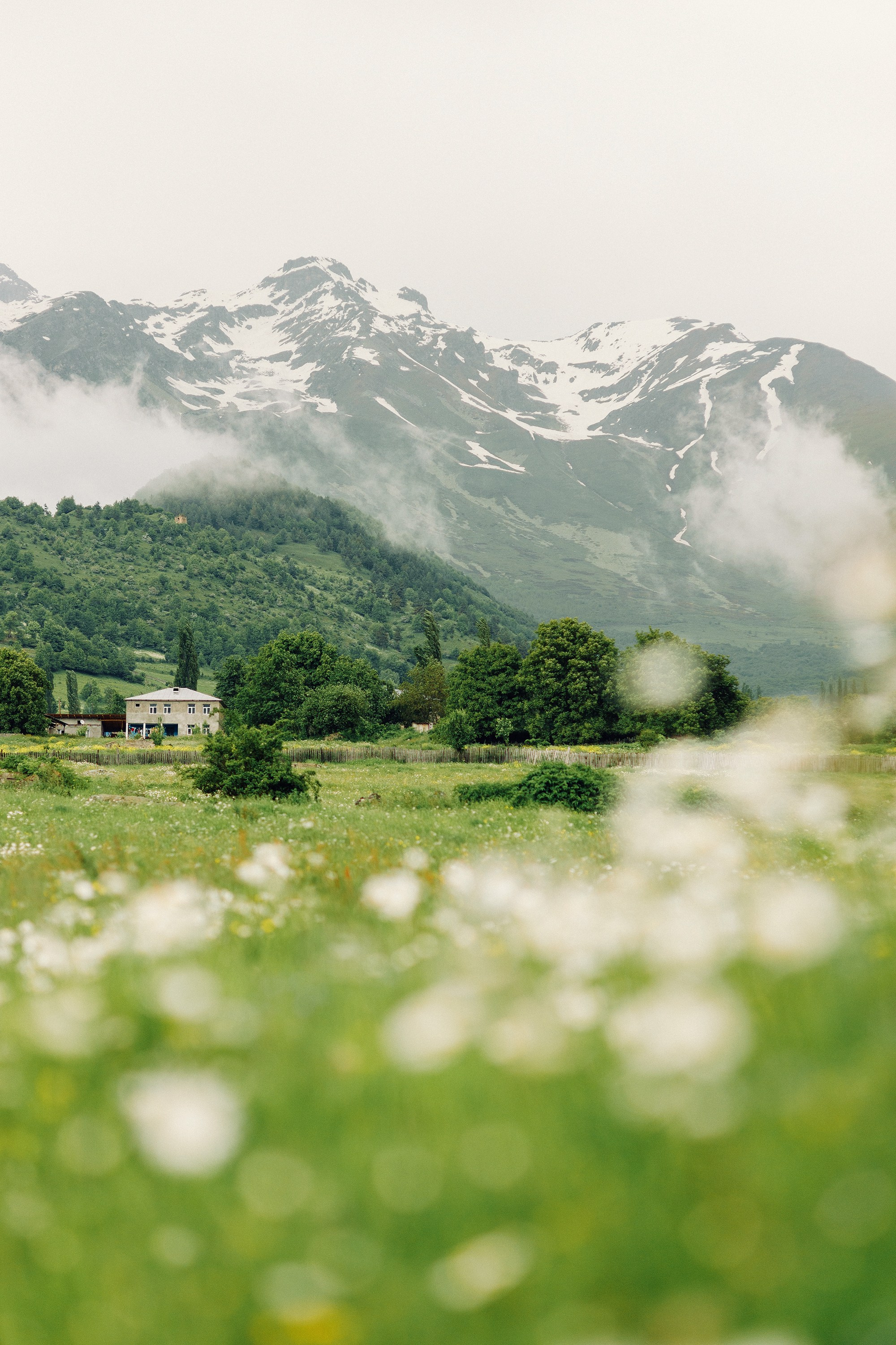 Почему Грузия идеально подходит для свадьбы?