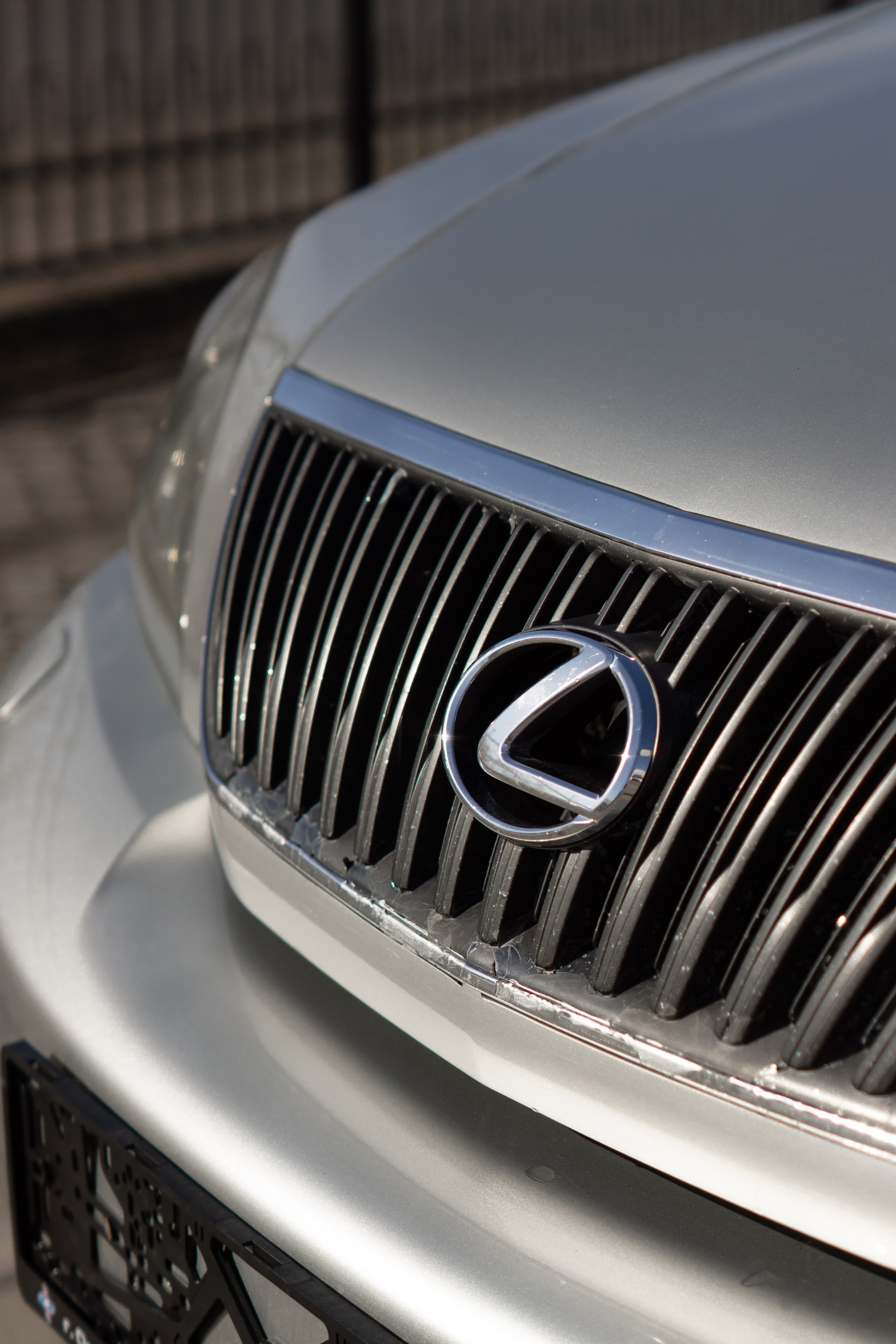 Съёмка для автосалона «Звезда Сибири». Женский фотограф Омск, Екатерина Петрова