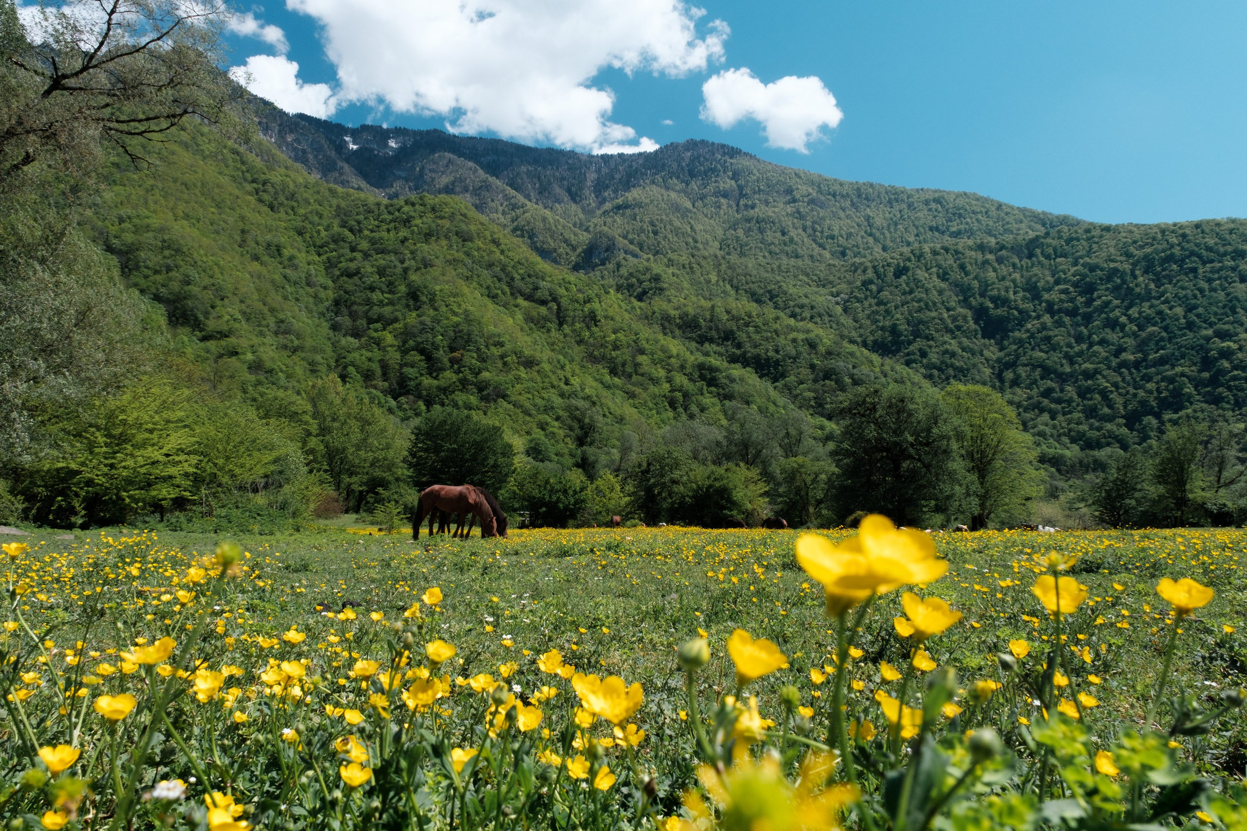 Сочи, Абхазия. Фотограф и видеооператор в Туле | Даниил Рыбак