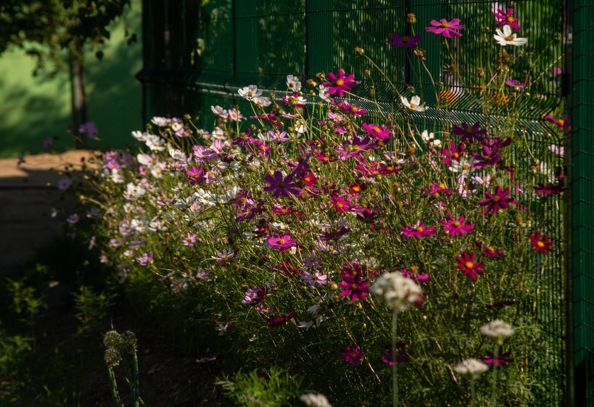 Разное. Репортажный фотограф г. Чита