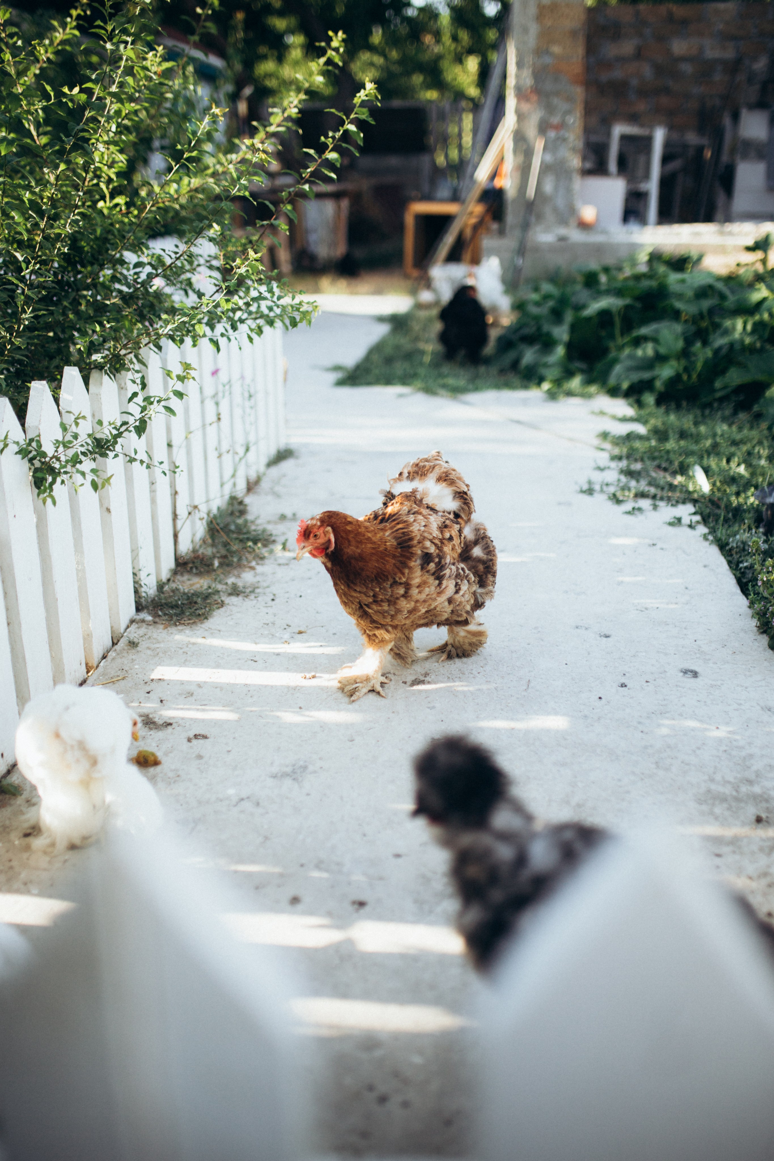 Художник Ольга Григорьева-Климова. Портретный фотограф В Крыму и преподаватель Екатерина Покровская