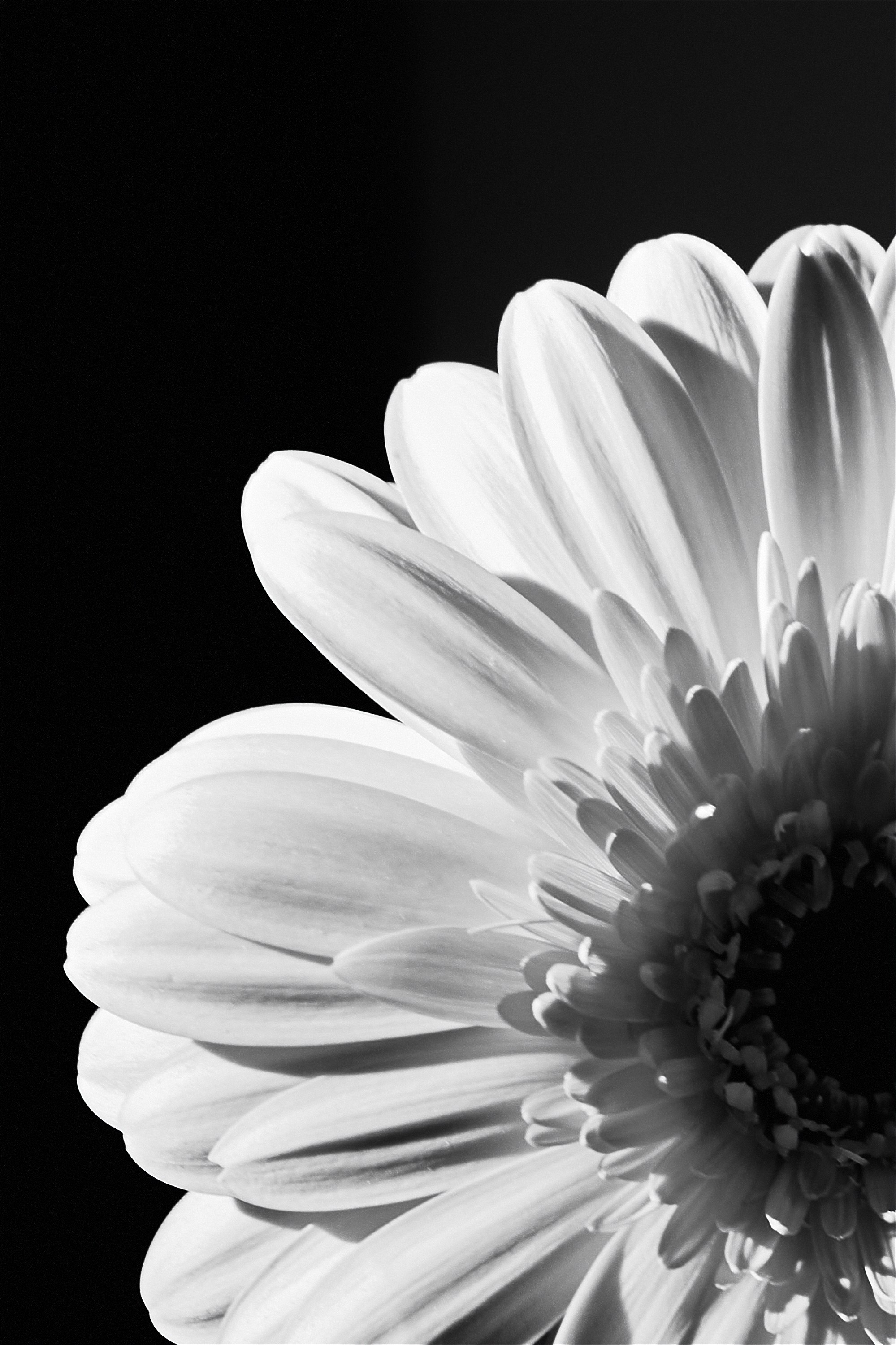 РЕСТОРАНЫ. Контент фотограф в Москве Ник Фрост