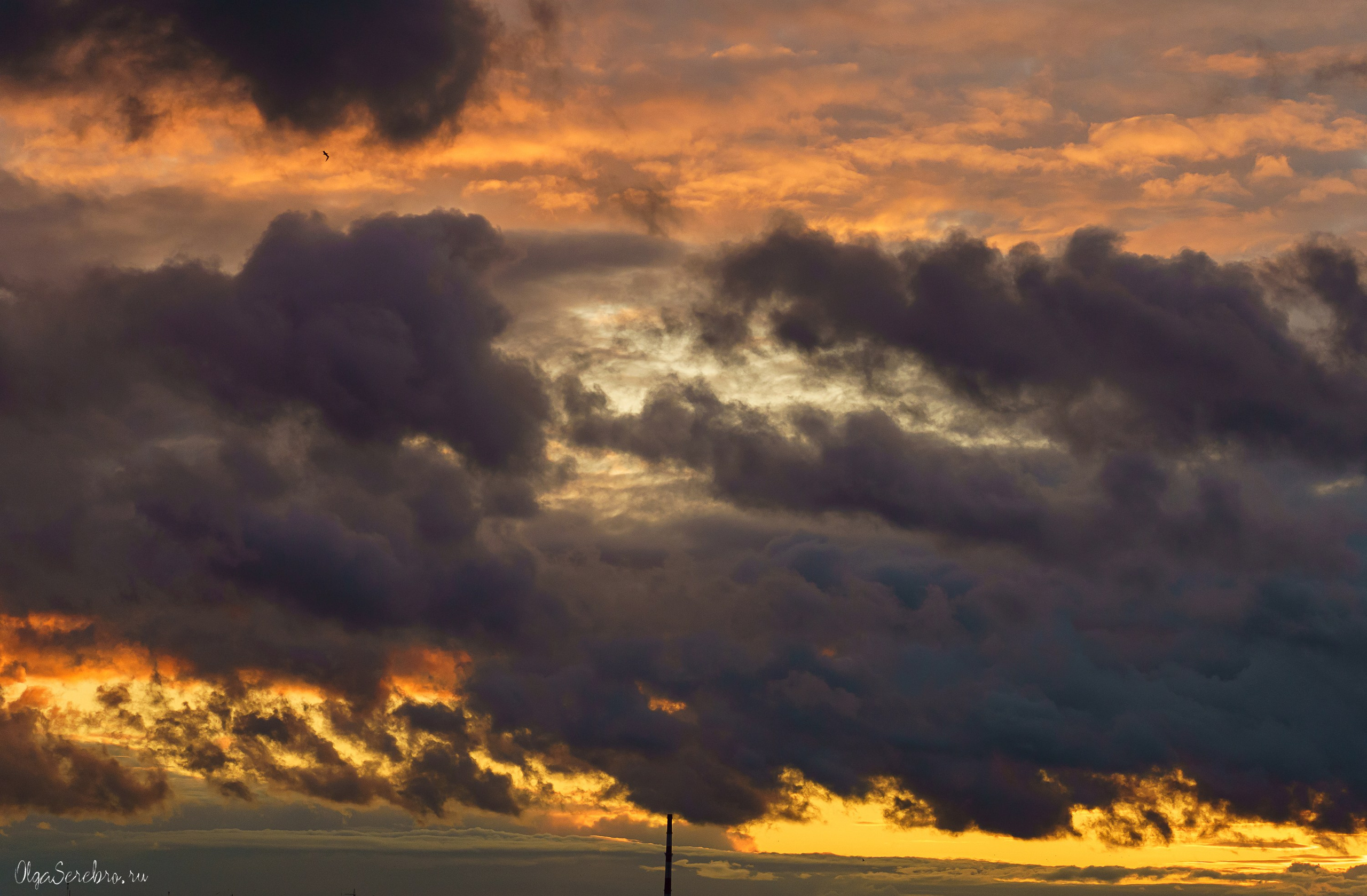 Нутро заката. Фотограф Челябинск · Ольга Серебрякова