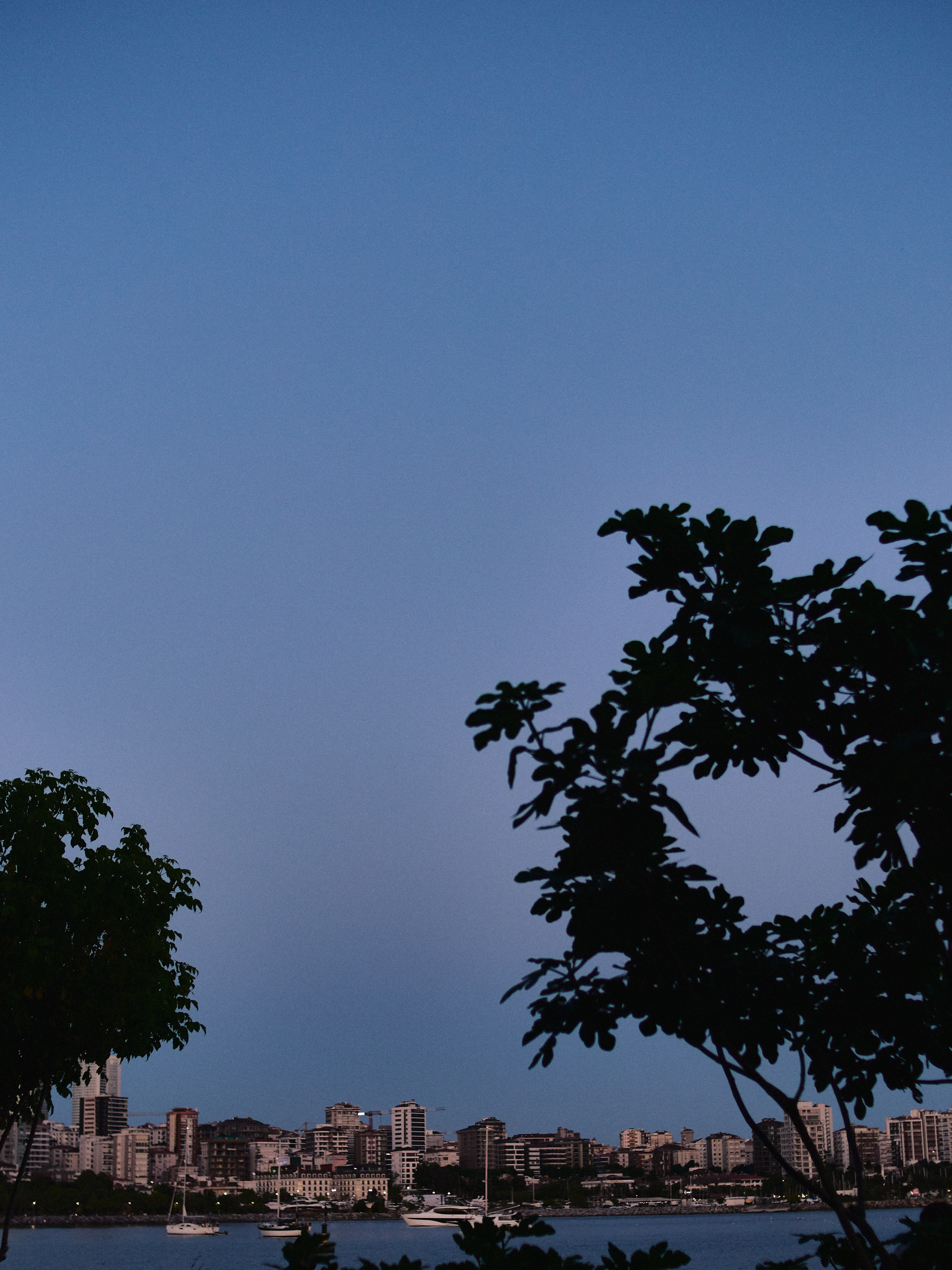 Другое 3. Jorgis Talè — photographer, kind person, teacher of arts and other mag