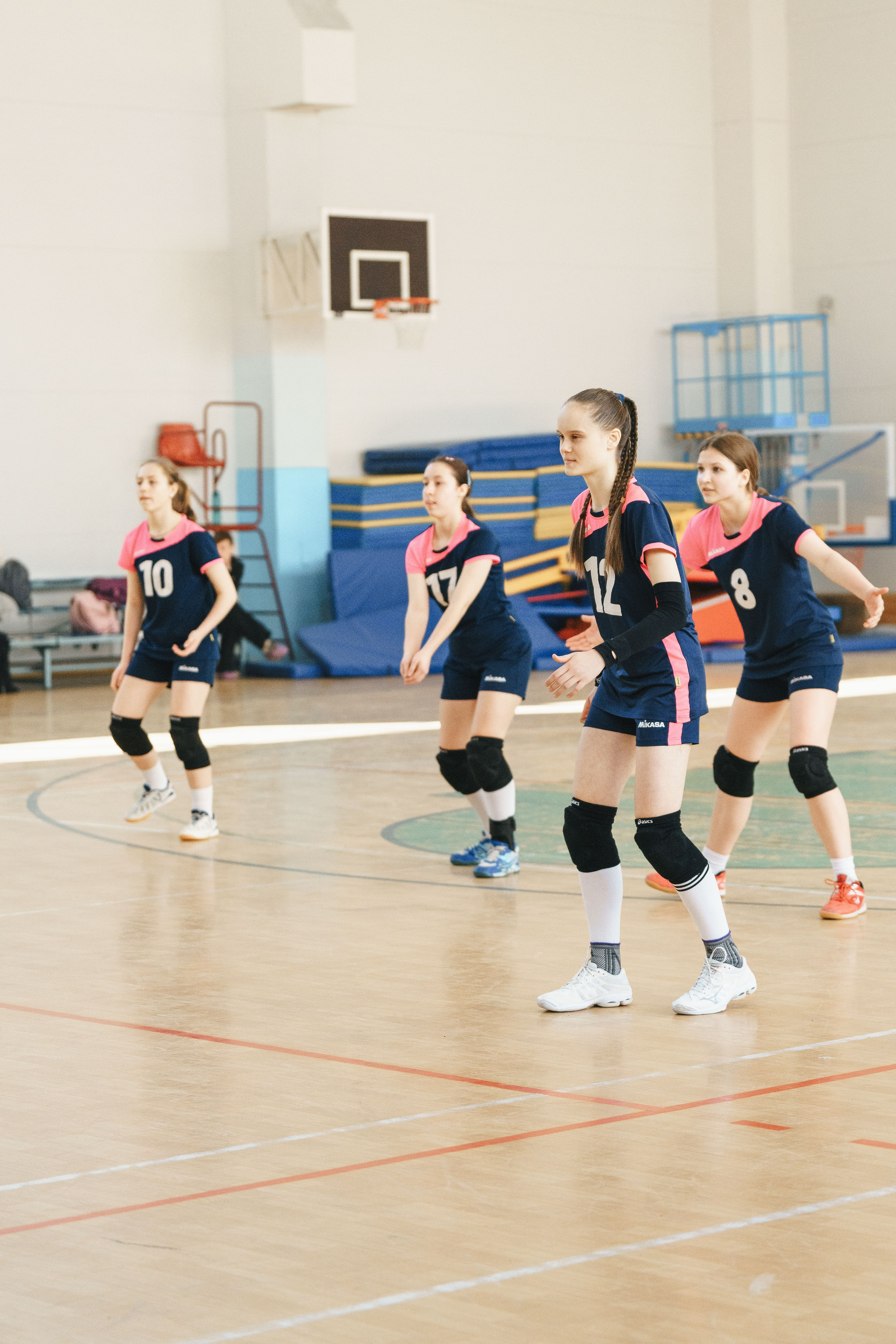 Волейбол торус. Фотограф-анималист в Санкт-Петербурге