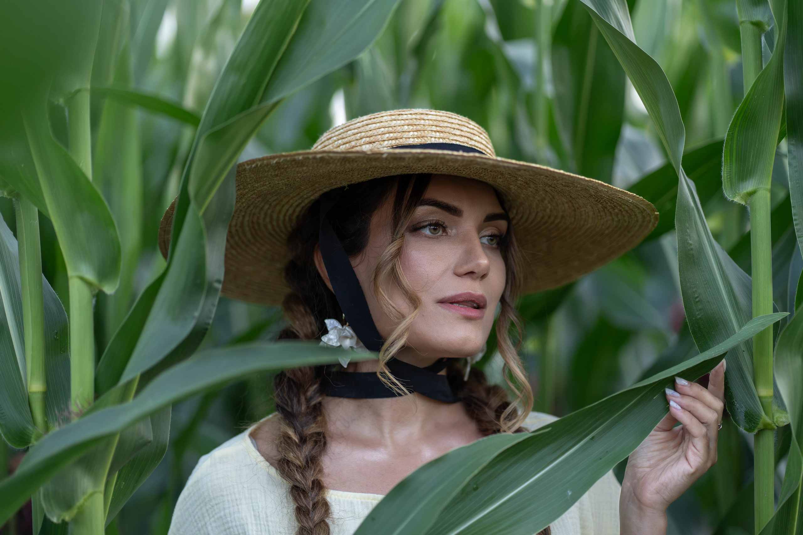 Кукурузное поле. Главная