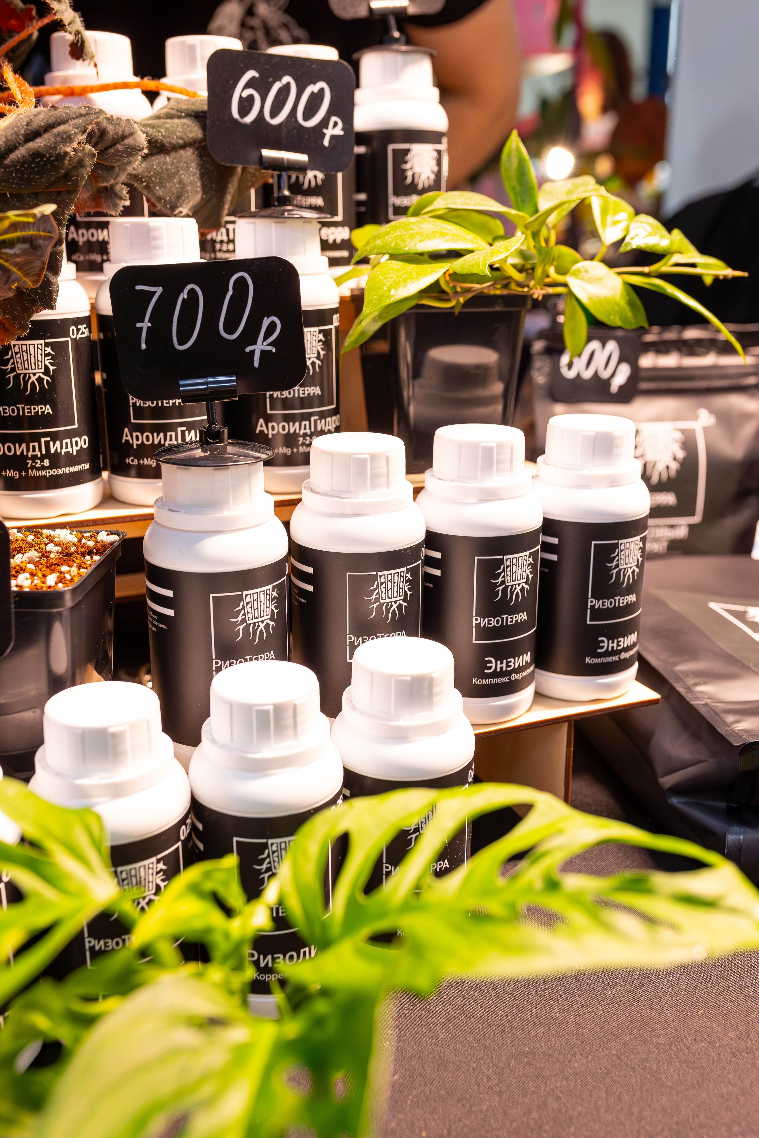 Монстериум 11–12 октября. Александра Куликова фотограф, Москва