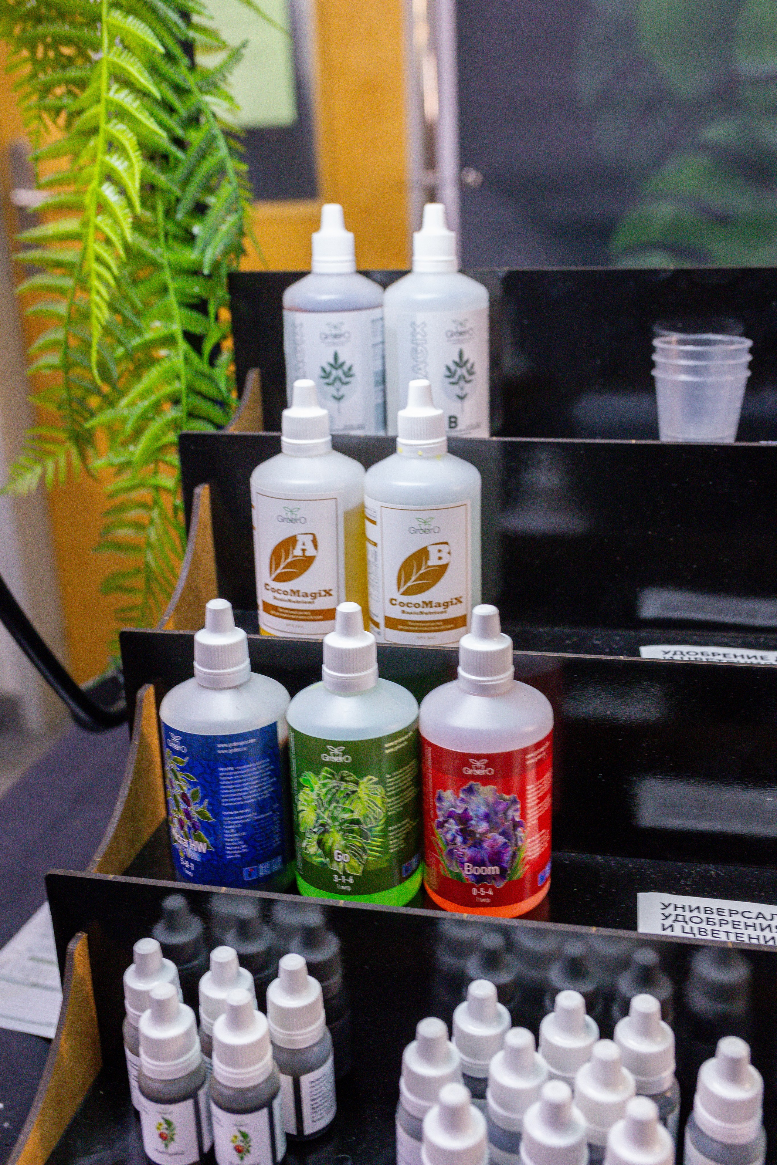 Монстериум 11–12 октября. Александра Куликова фотограф, Москва