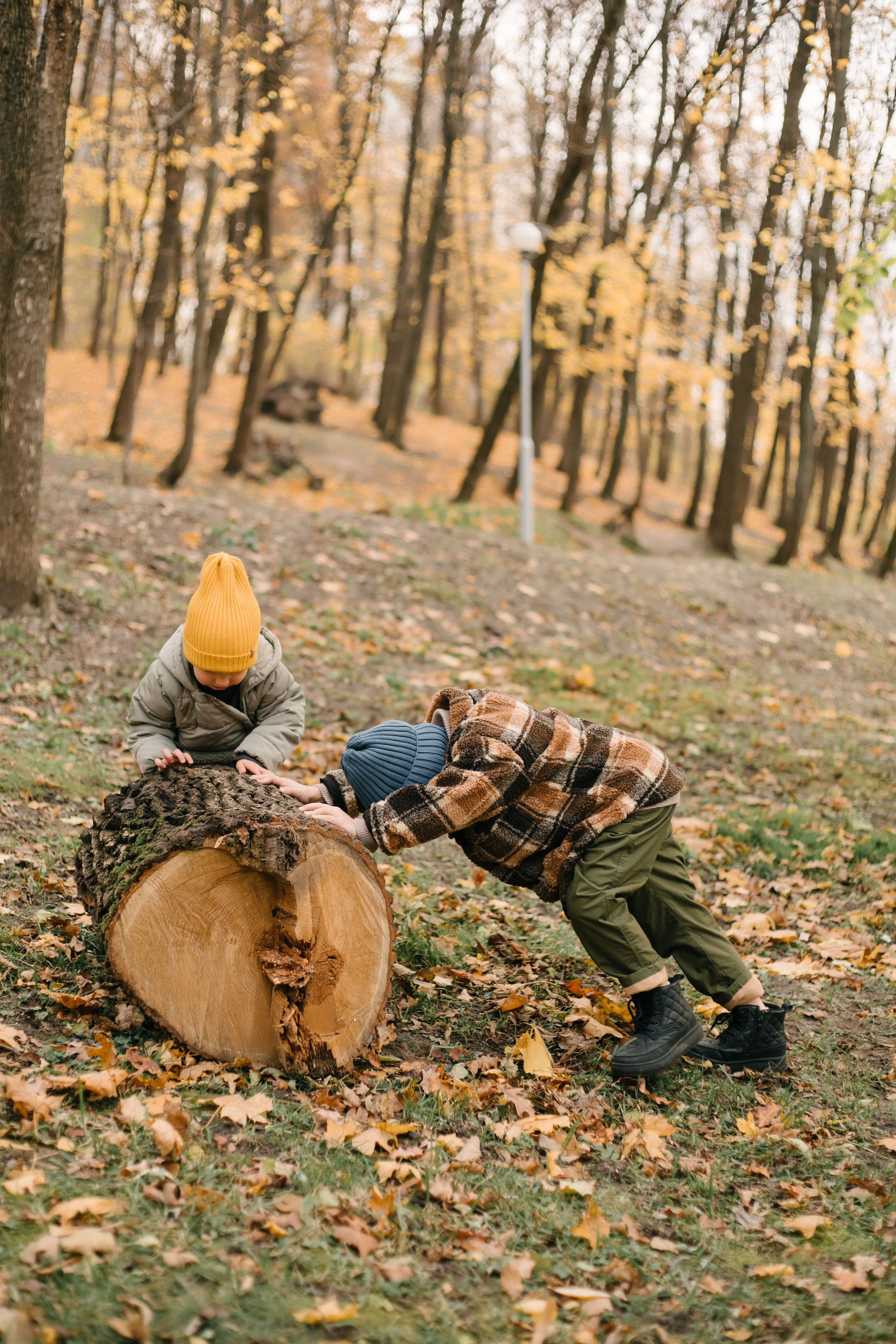 Карина, Марк и Гордей. Свадебный фотограф Москва Воронеж Ленкова Ксения