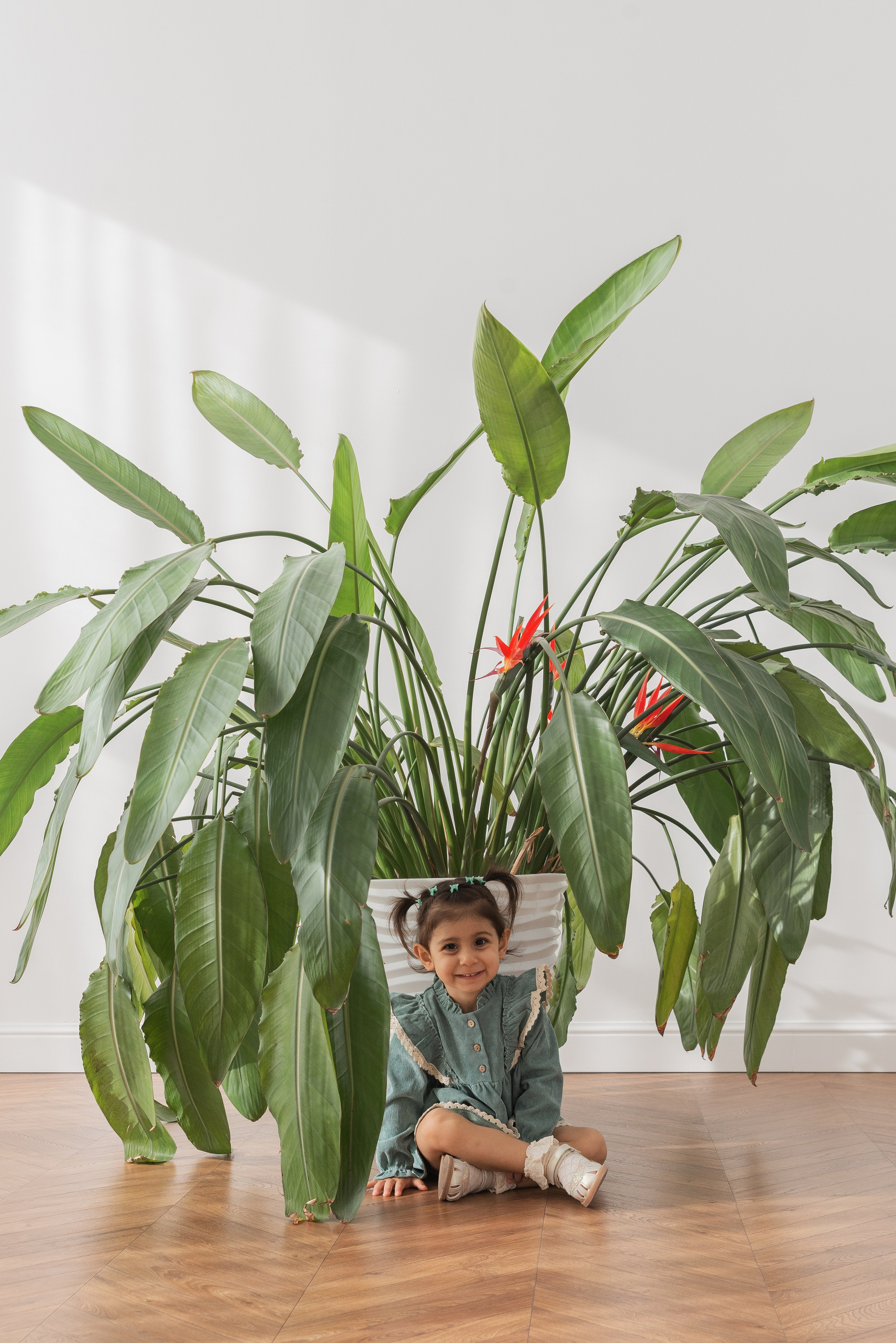 Фотограф краснодар