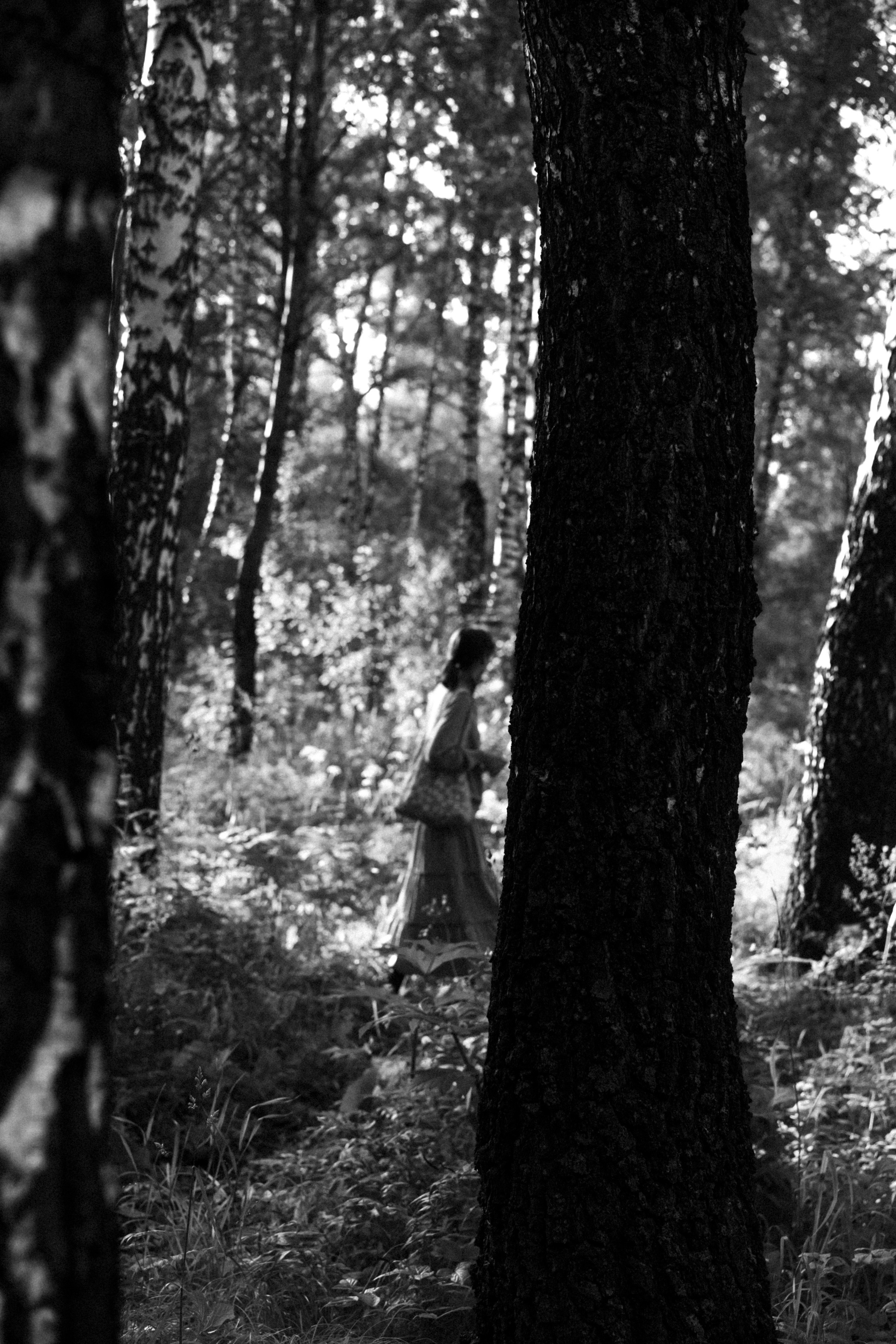 Лес. Veronika Popadeikina Photographer