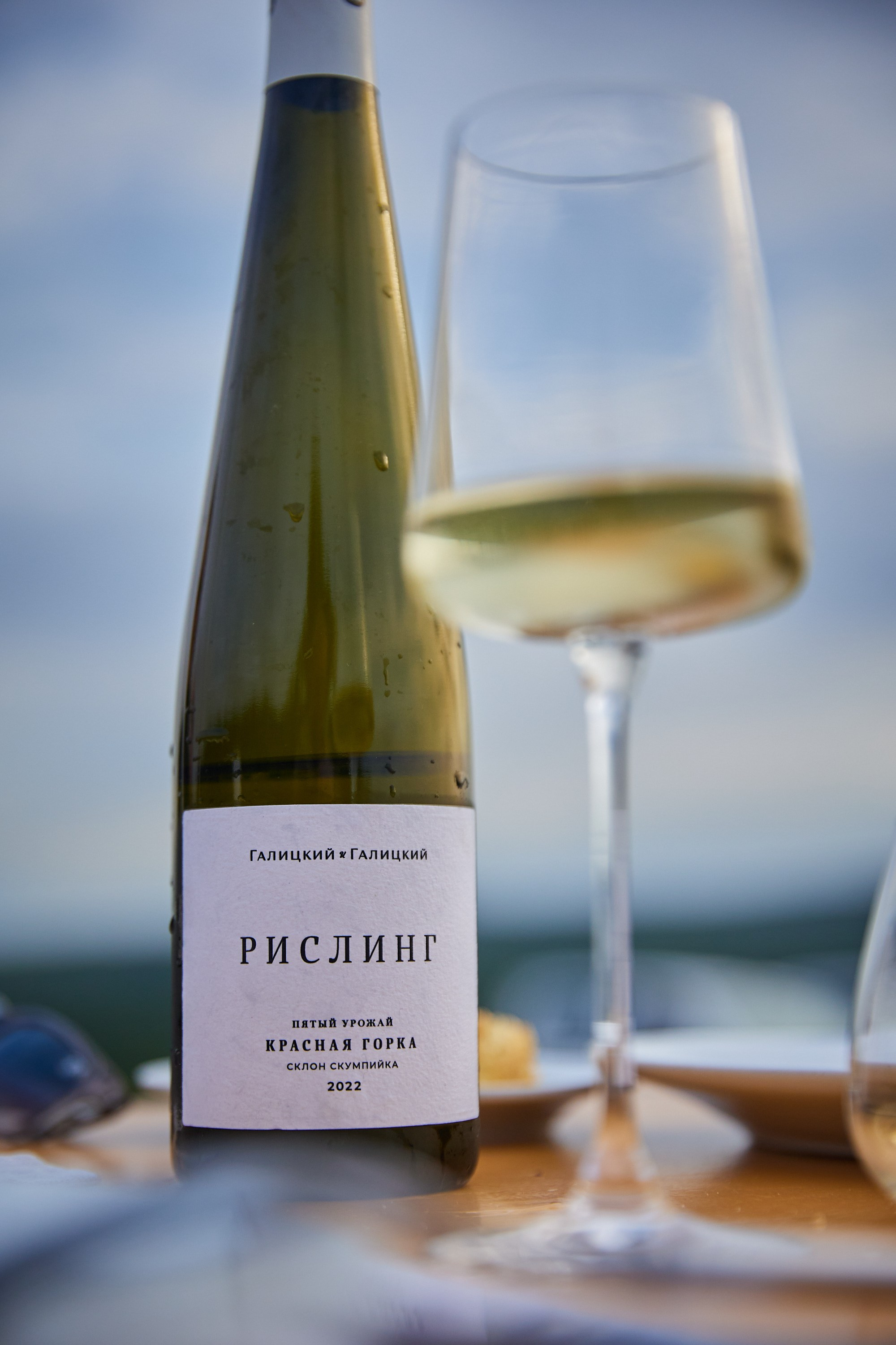 Galitsky & Galitsky. ПОЧЕМУ? СТУДИЯ