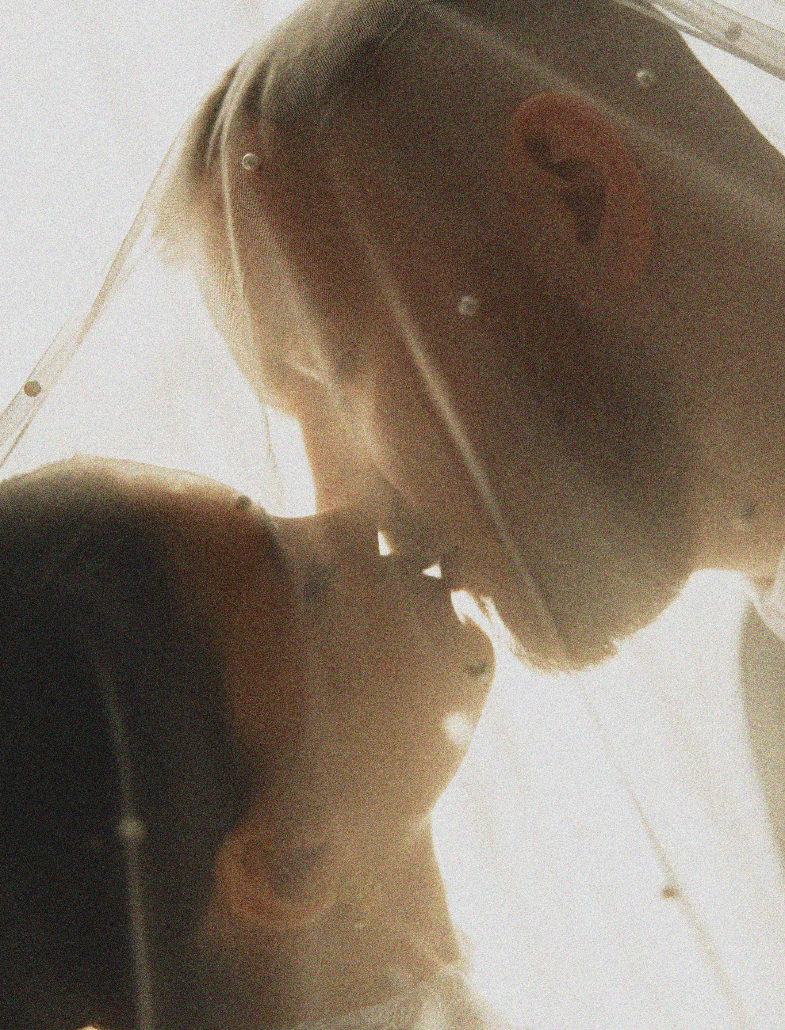 ЛЮБИТЬ. Фотограф Элла Ефимова