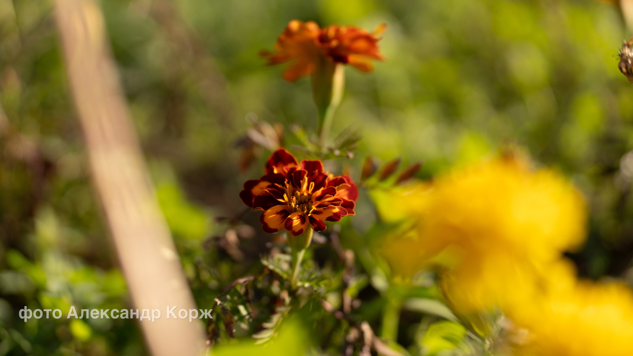 Фотографии Северного поселка Айхал. Фотографии и видеосъемка, Айхал, Удачный, Якутия. Фотографии Айхал