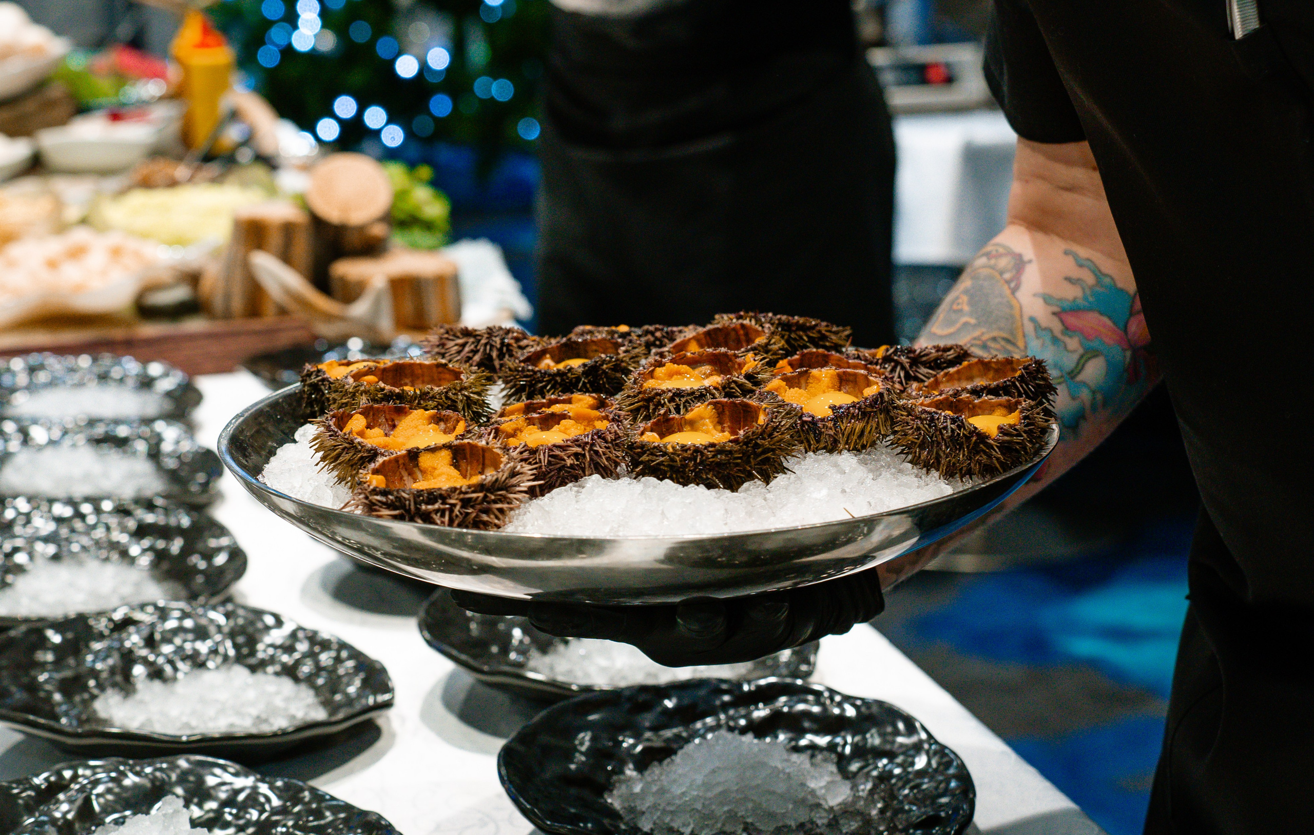 Гастротур. Туманов Кирилл Фото, видео и аэросъемка в Мурманской области