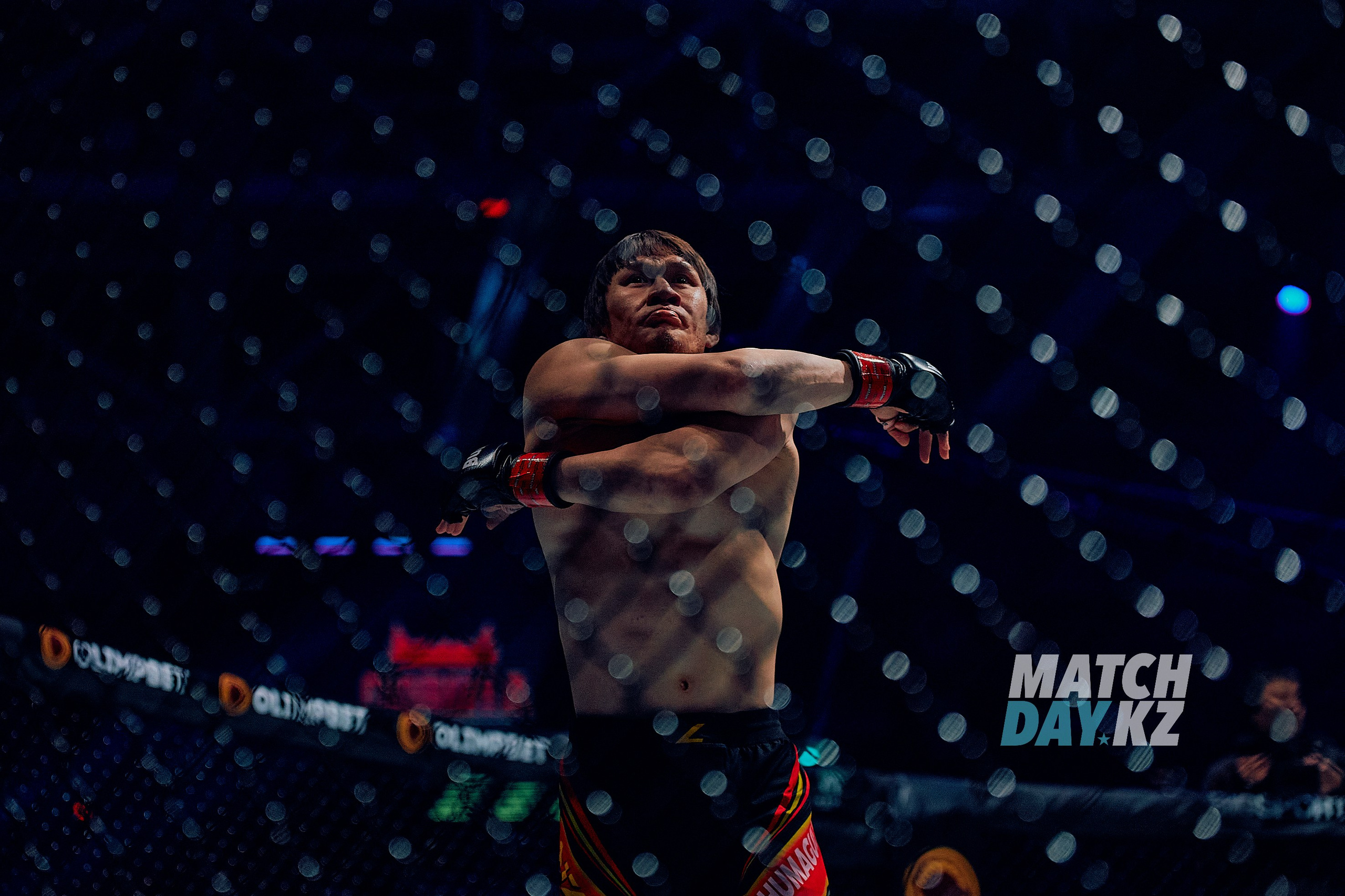 Naiza MMA (Astana) 6 December 2023. Professional photo & Event agency (Kazakhstan, Astana)