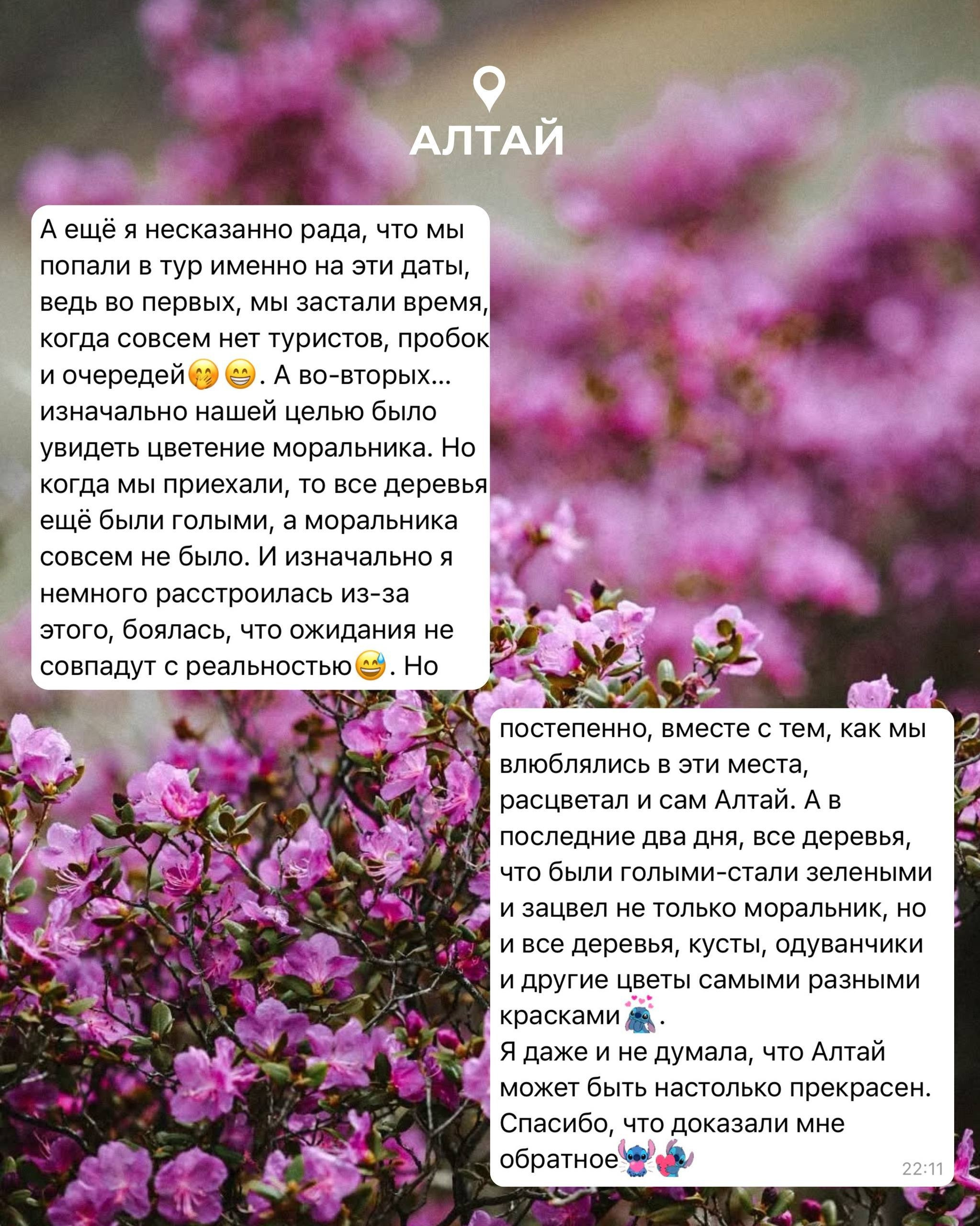 Rest Place — Авторские туры по России с комфортом | Корпоративные и индивидуальные туры | Камчатка, Мурманск, плато Путорана, Алтай, Байкал