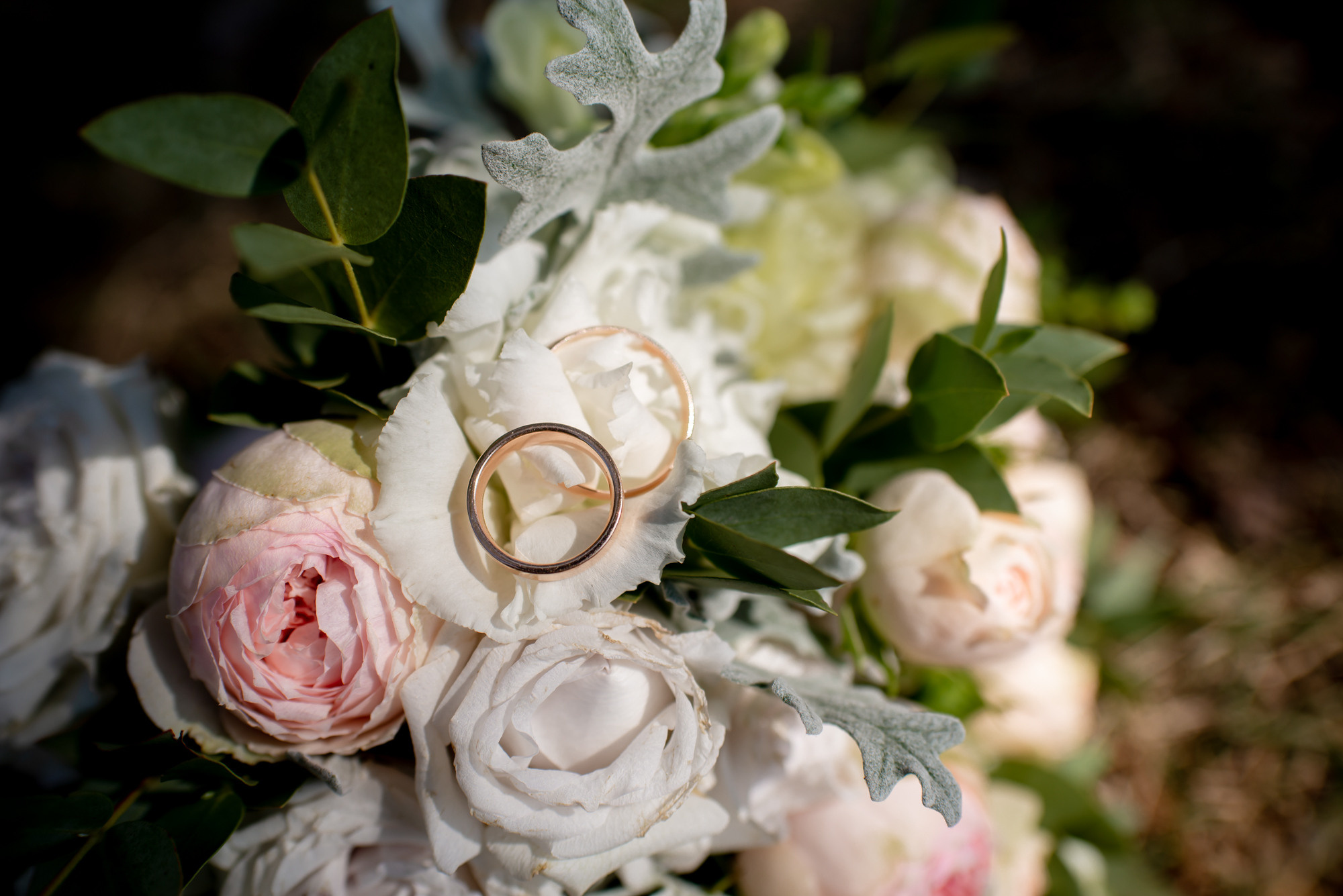 Портфолио. Фотограф Катрина Динкель