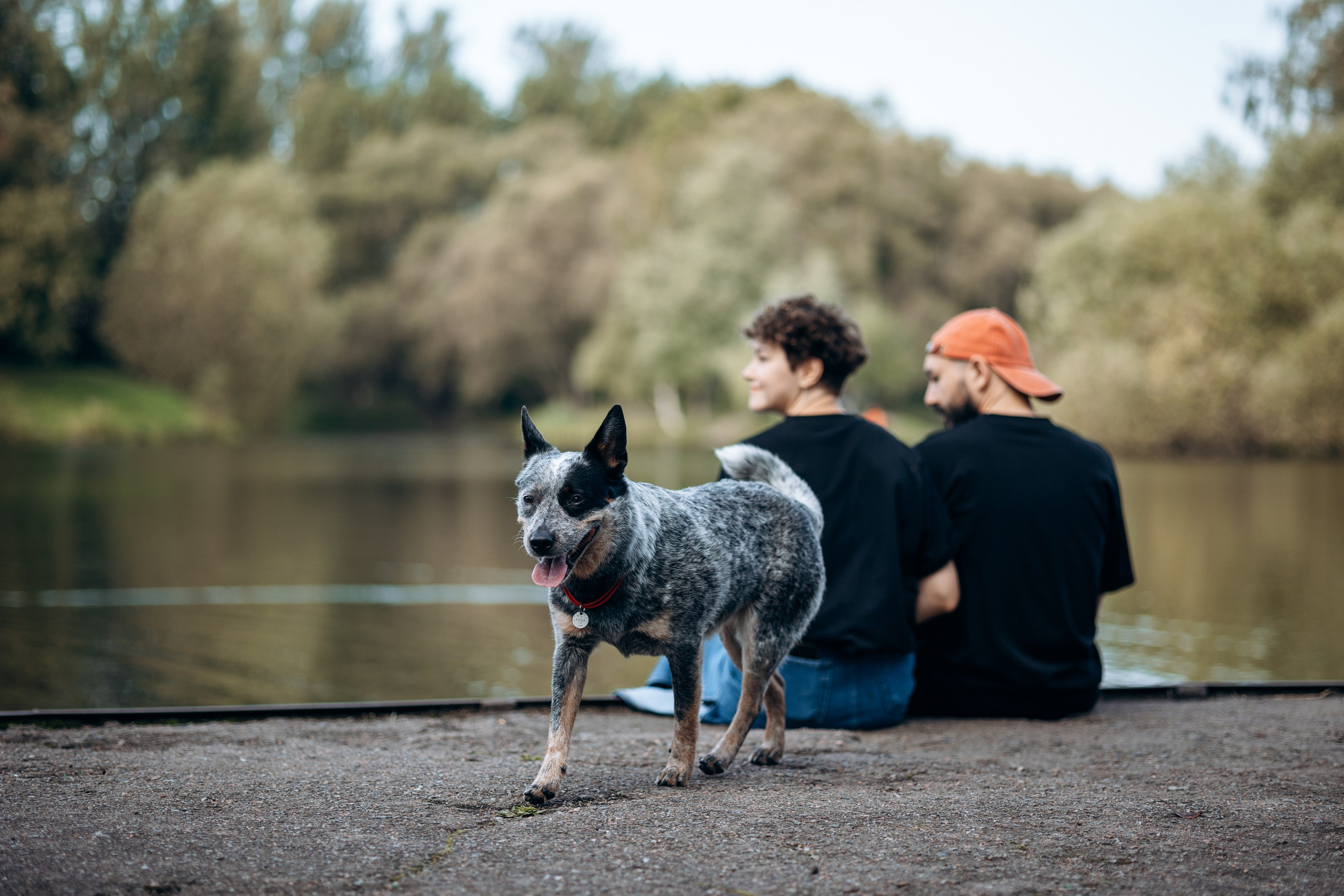 Кода и ее семья. Фотограф — Анималист | Санкт-Петербург
