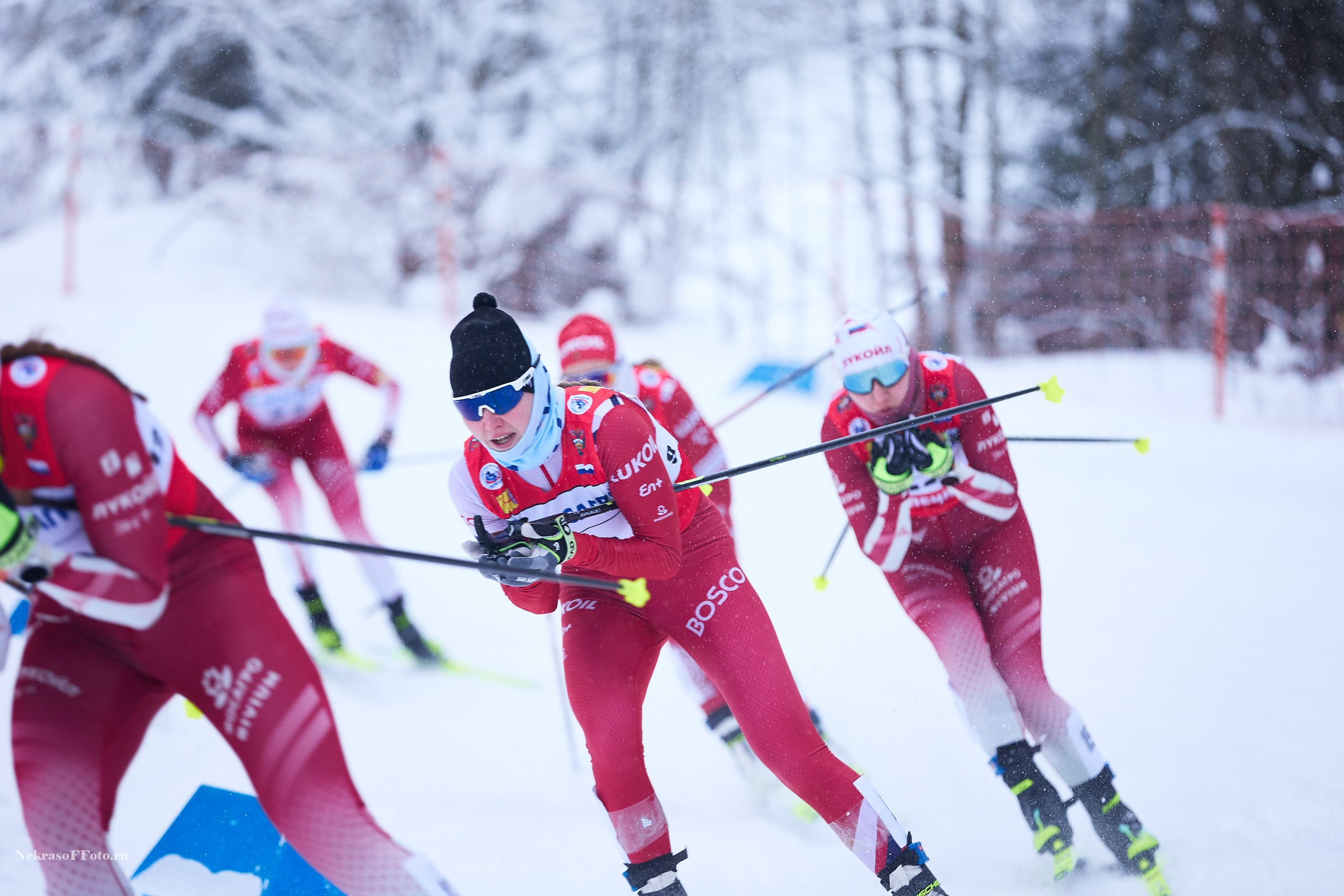 Кубок России по Лыжным гонкам. Спортивный фотограф Некрасов Денис