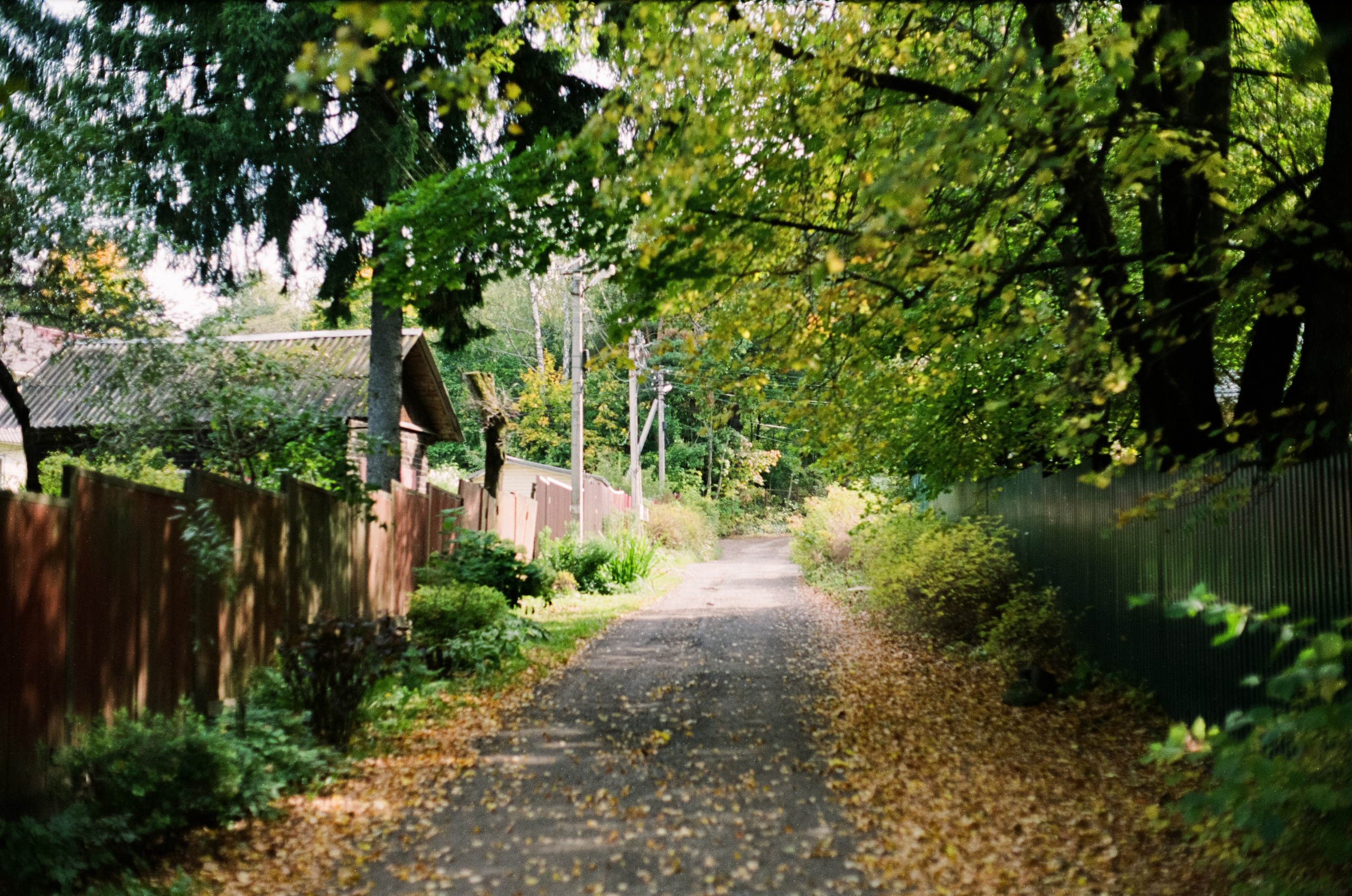 Cosina CT-1 — SMC Pentax-M 50 mm f/1.4 | Fujifilm Reala 100 | Сентябрь 2026 г