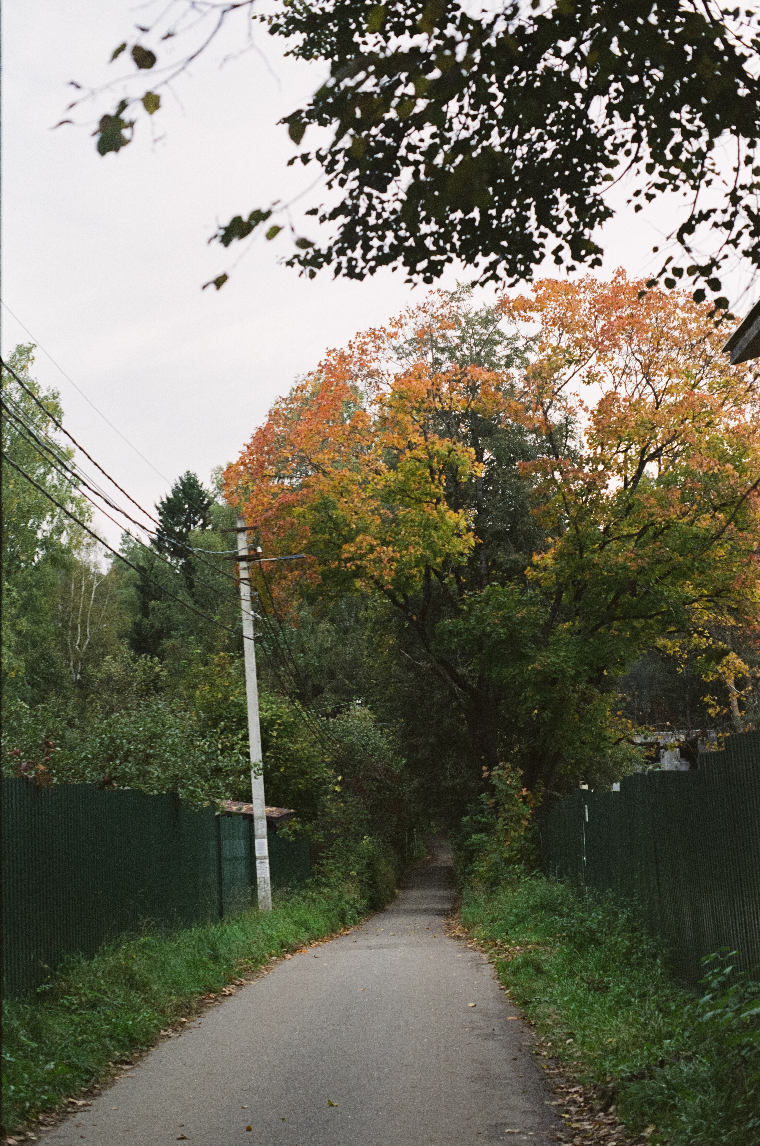 Cosina CT-1 — SMC Pentax-M 50 mm f/1.4 | Fujifilm Reala 100 | Сентябрь 2026 г