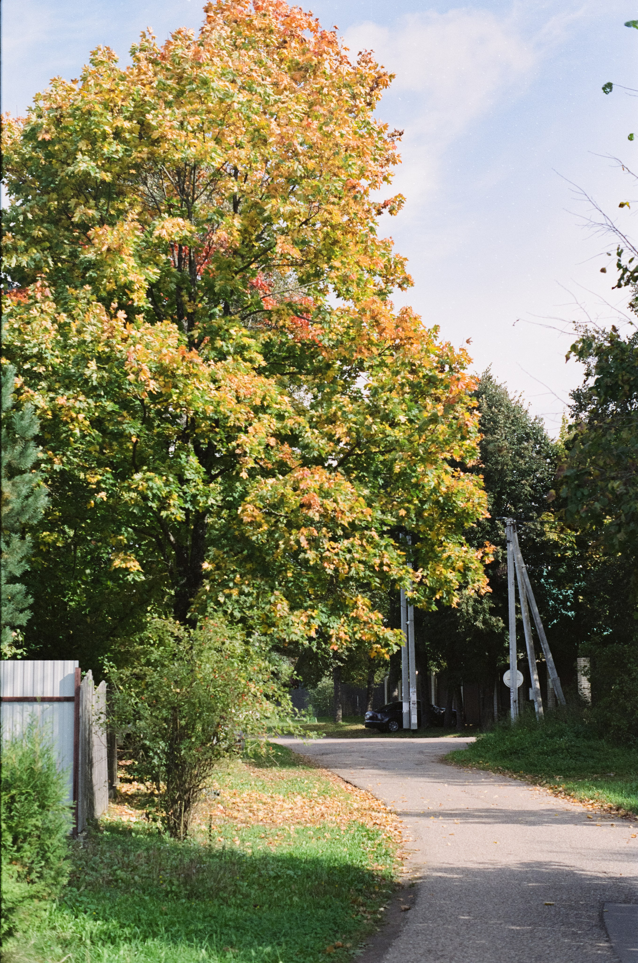 Cosina CT-1 — SMC Pentax-M 50 mm f/1.4 | Fujifilm Reala 100 | Сентябрь 2026 г