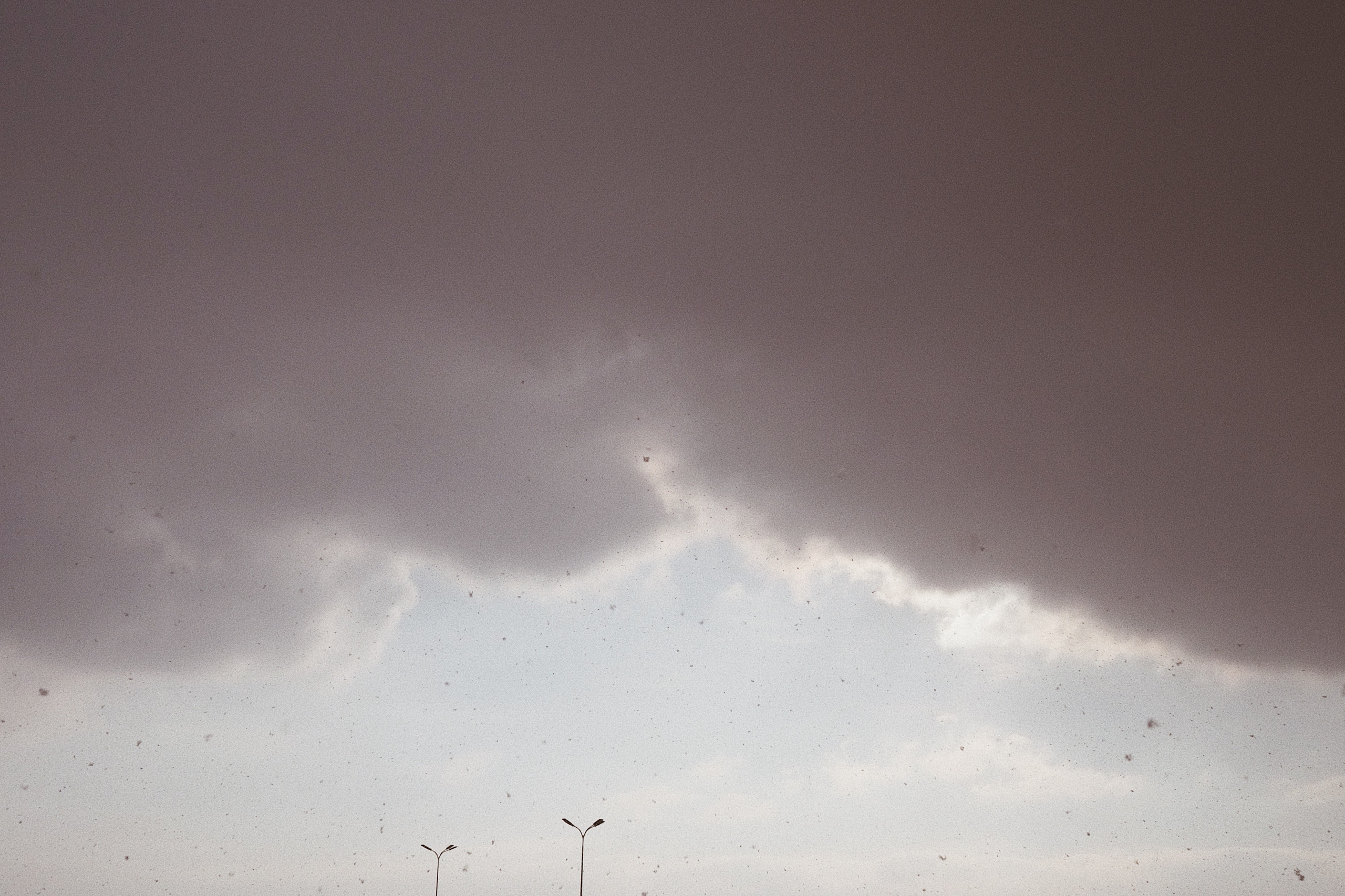 Ася и Сергей. Фотограф Ростов-на-Дону