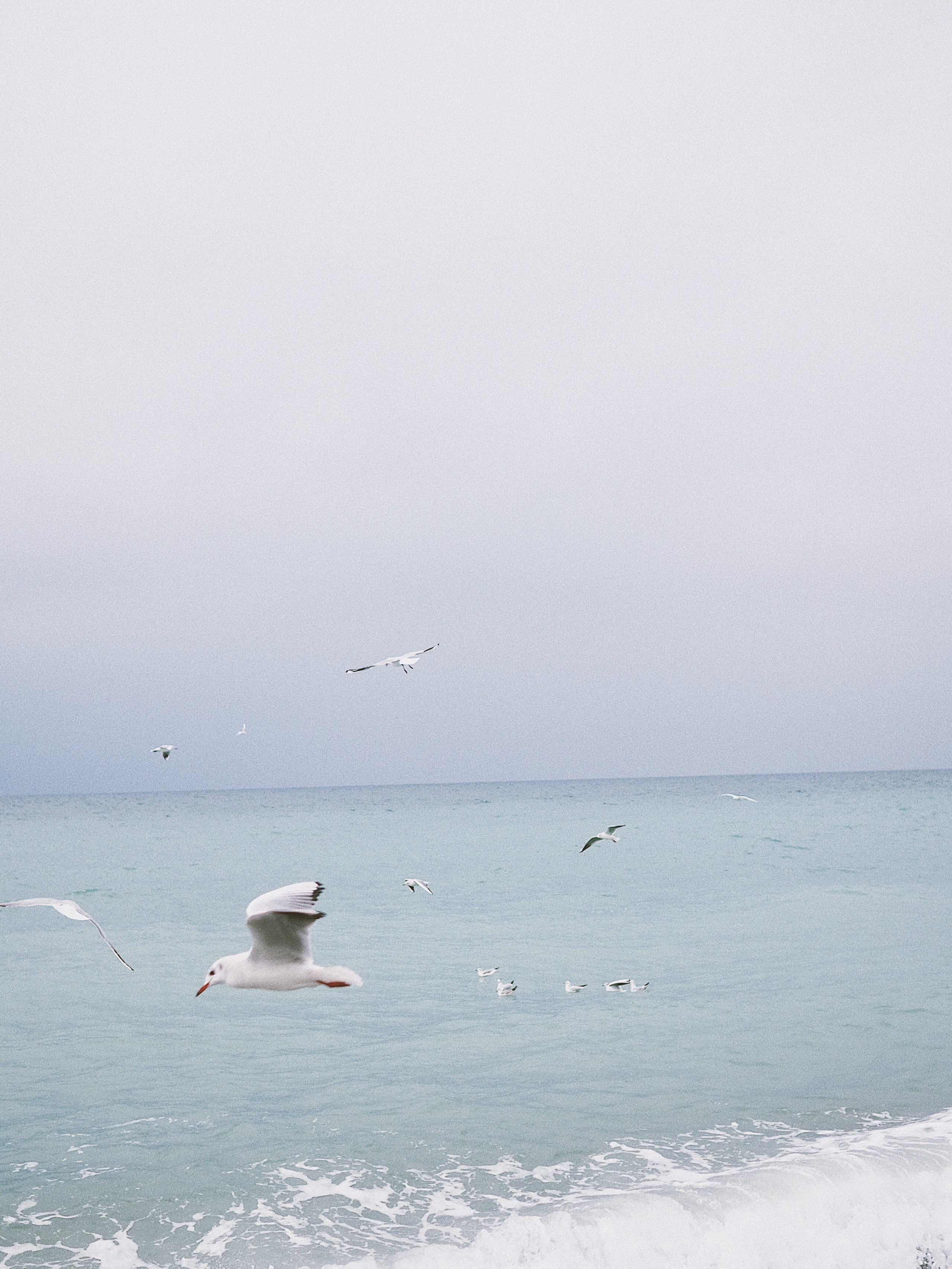 Ильнара и Андрей. Фотограф Ростов-на-Дону