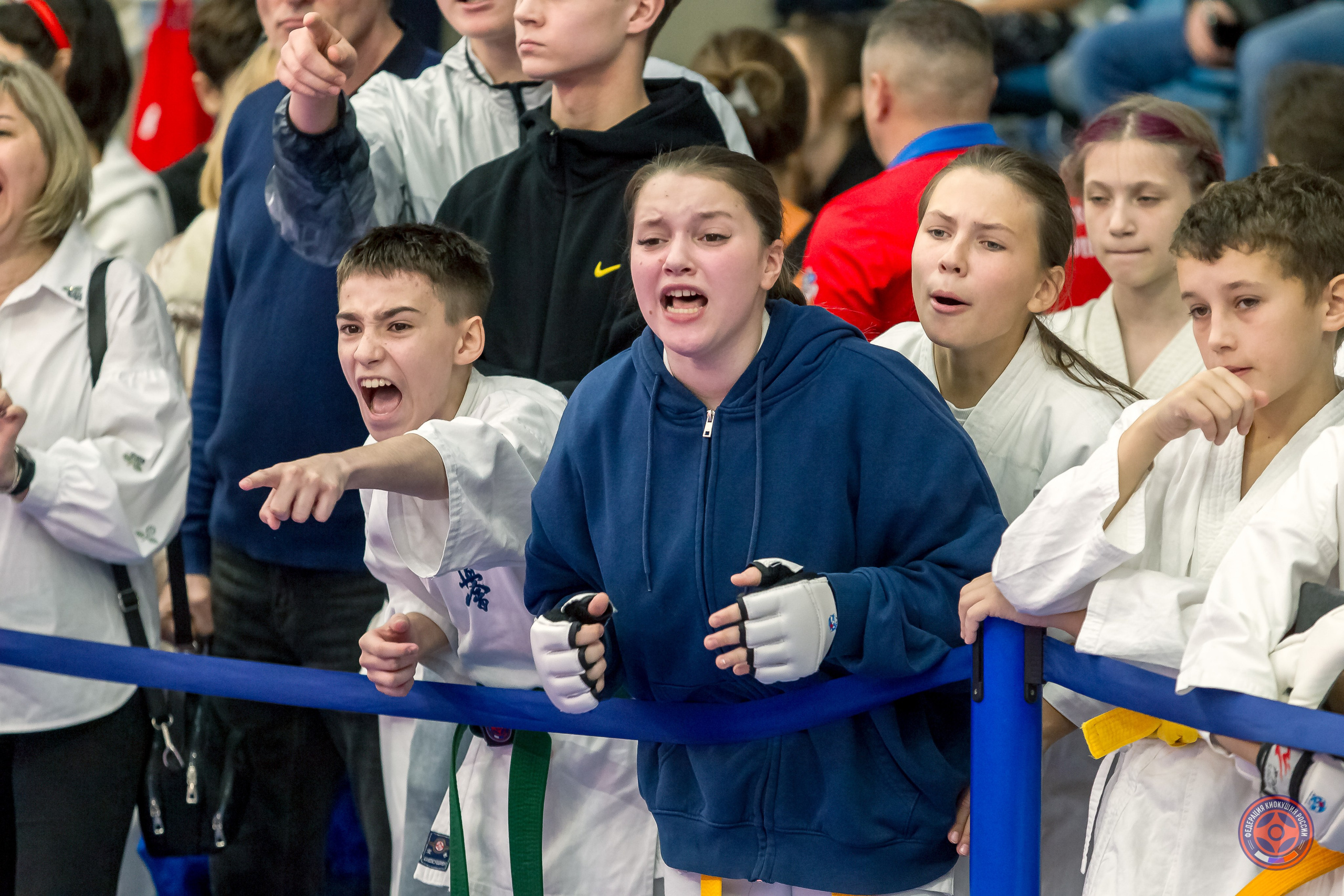 Соревнования по Киокушин памяти С. Увицкого. Репортажная съемка в Москве и области. Анималистика