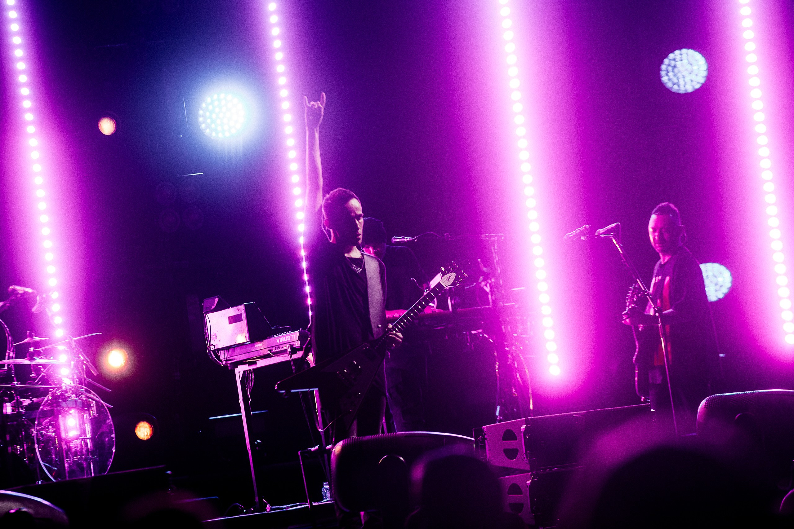 Звери 2025. Репортажный фотограф в Кемерово