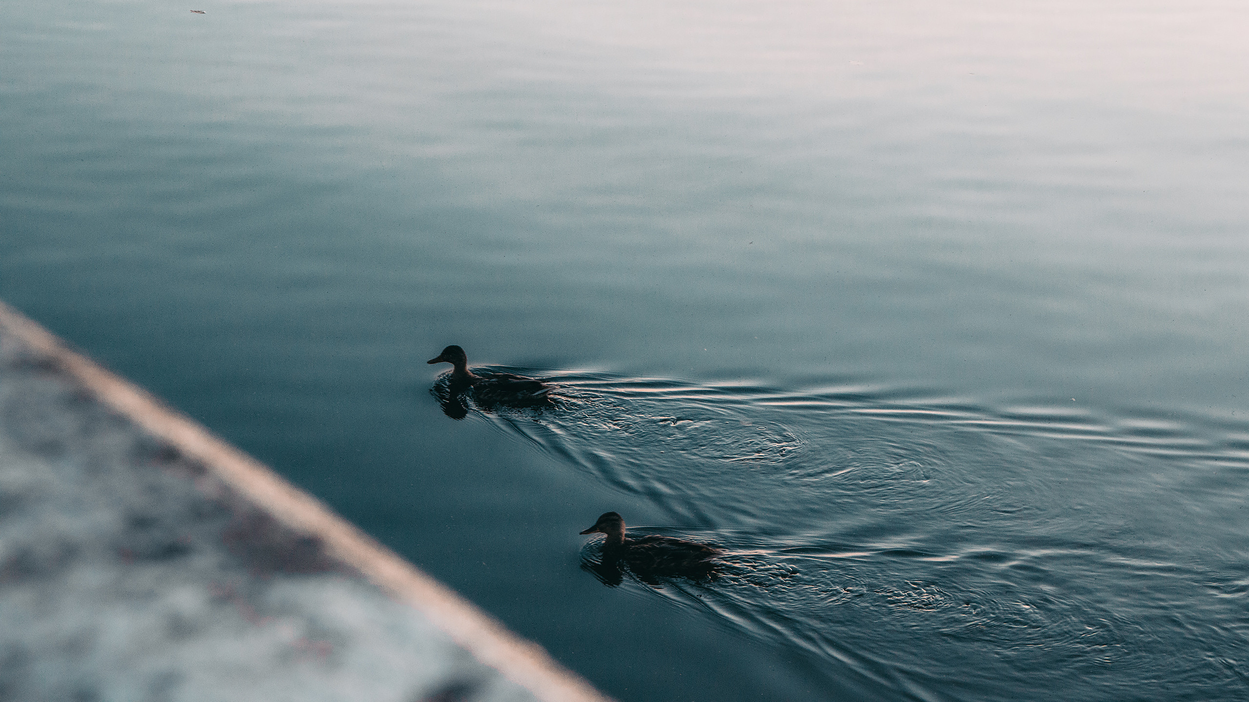 Streets Photos. Глухов Даниил — фотограф