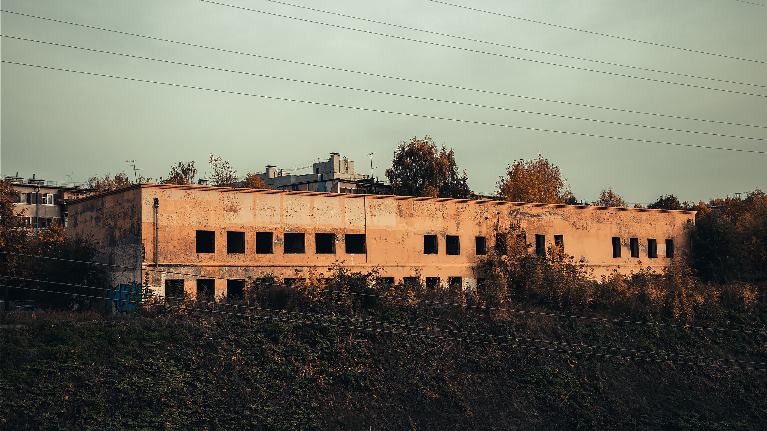 Streets Photos. Глухов Даниил — фотограф