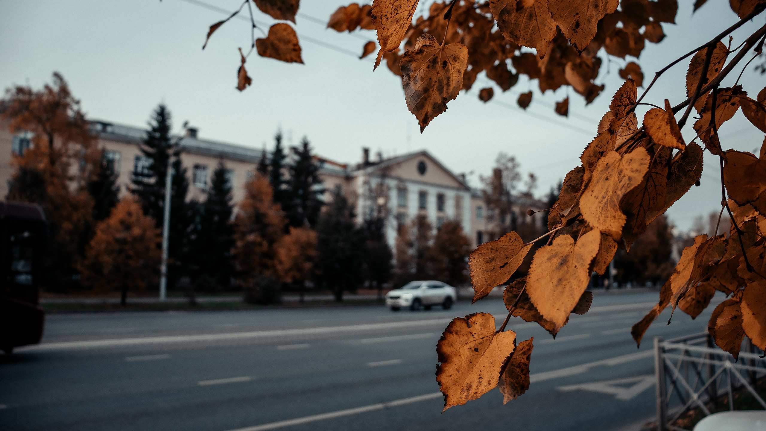 Streets Photos. Глухов Даниил — фотограф