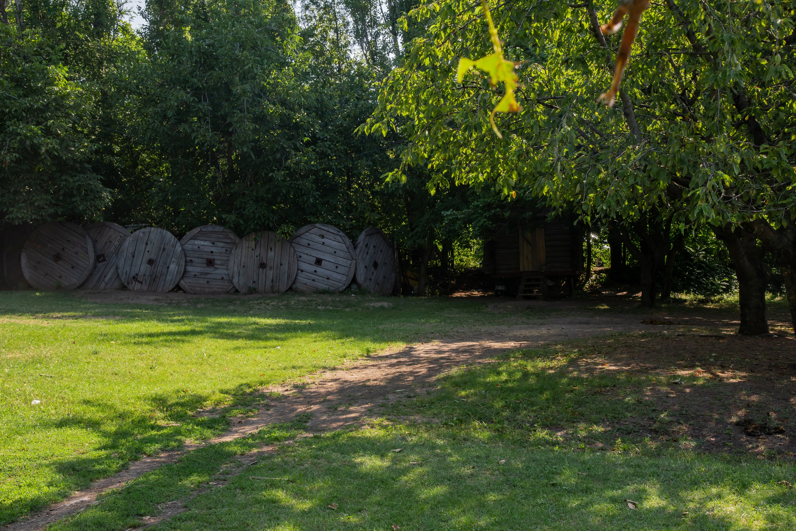 Конная прогулка. Фотограф Галина Нестерова