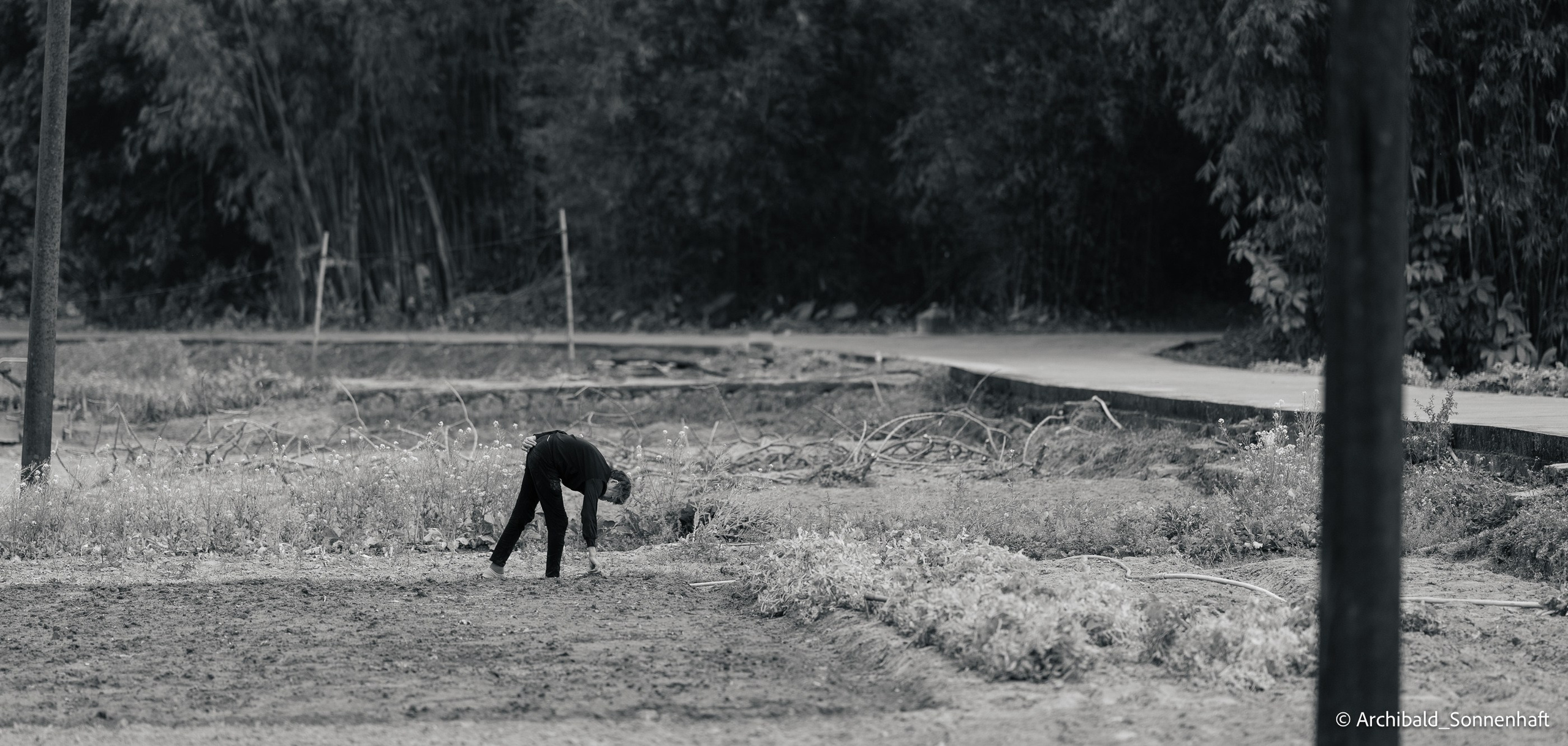 Diaolou in Kaiping. Photographer in Guangzhou, China. Archibald Sonnenhaft