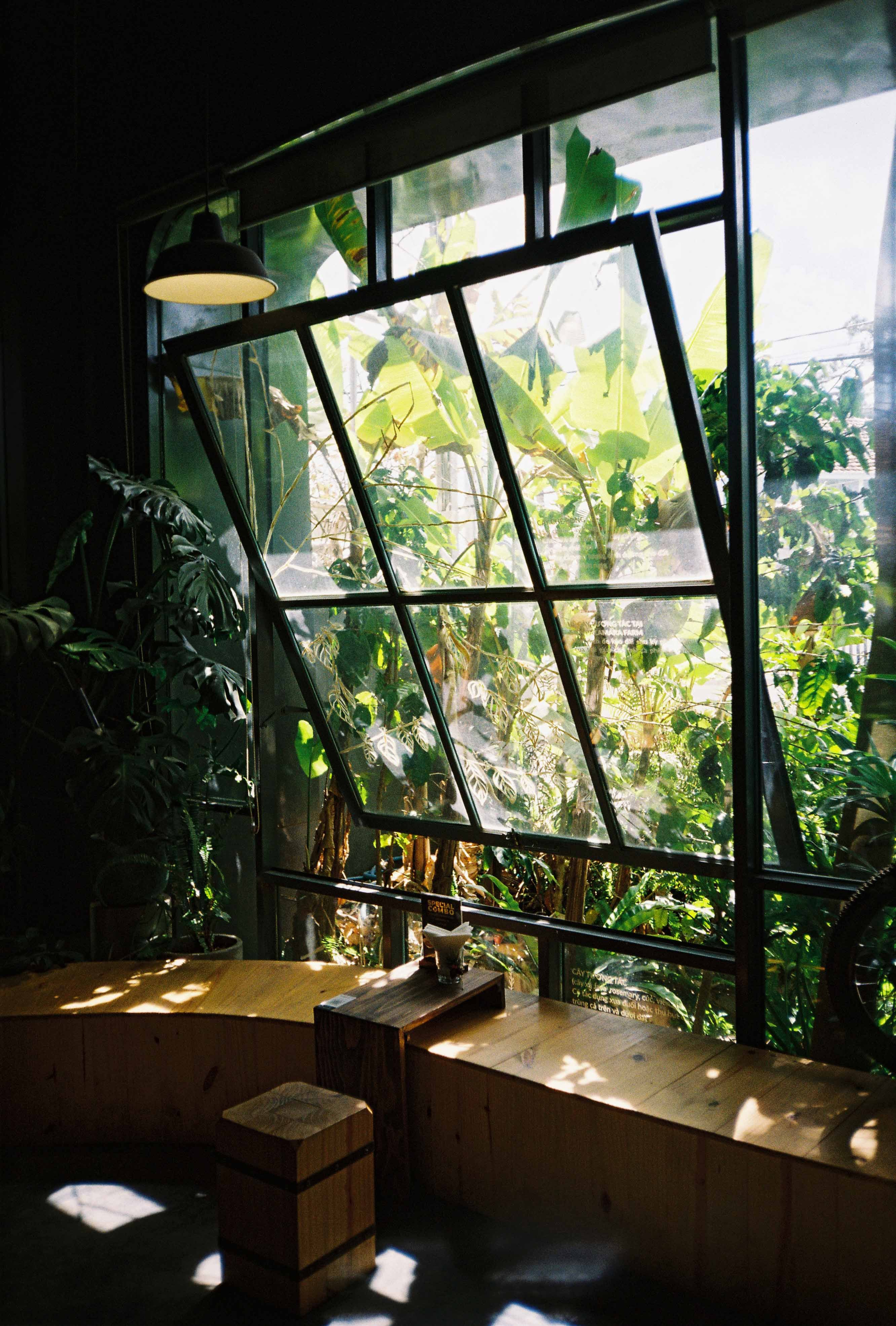 Dalat 2023. Film Photographer in Da Nang, Vietnam — Tanya Parfenteva