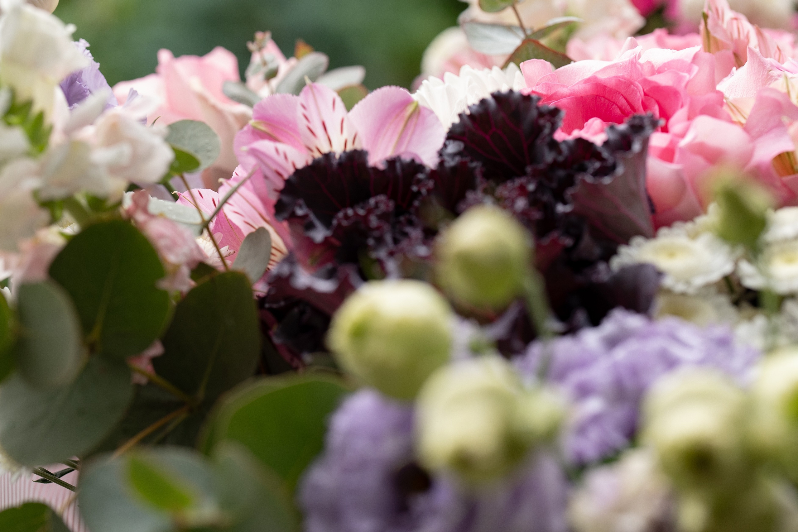 Александр и Александра