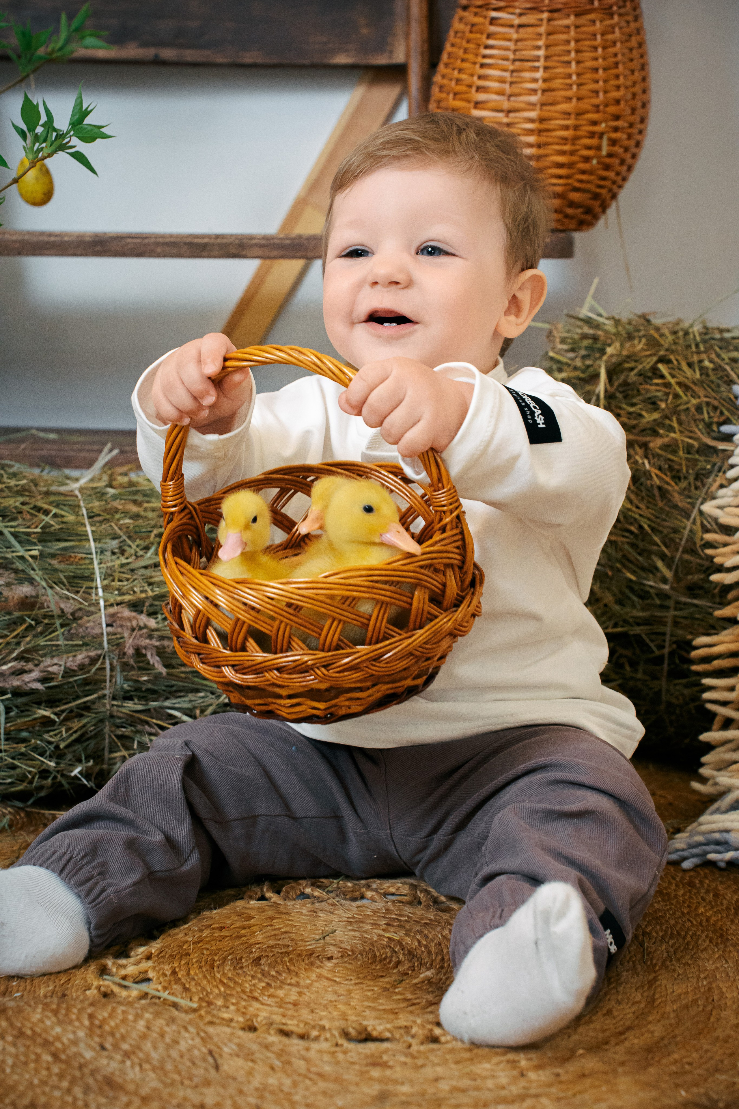 Утята. Фотограф Казакова Анастасия