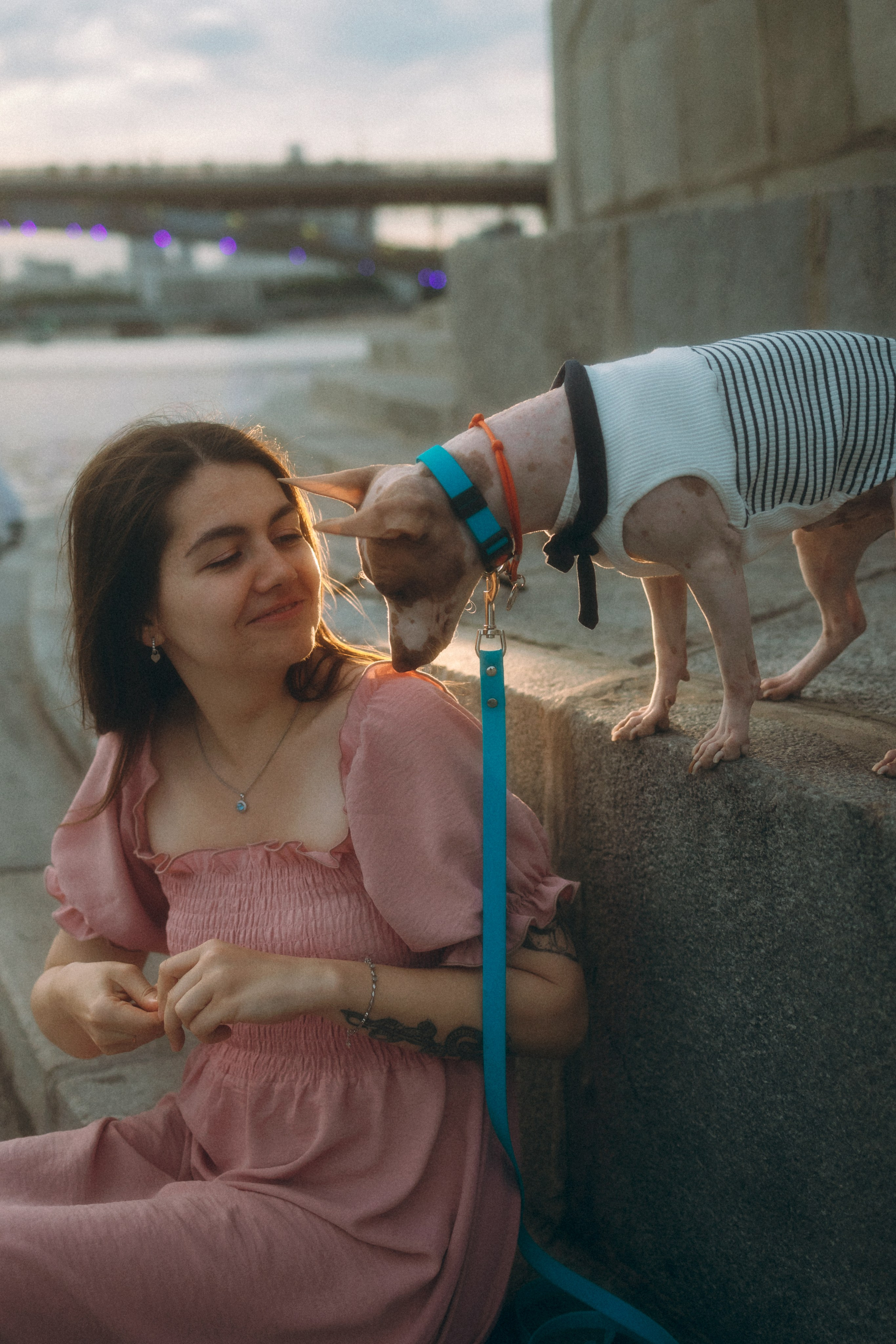 Глаша, Айрон, Ксюша и Оля. Фотограф анималист Анастасия Пикей