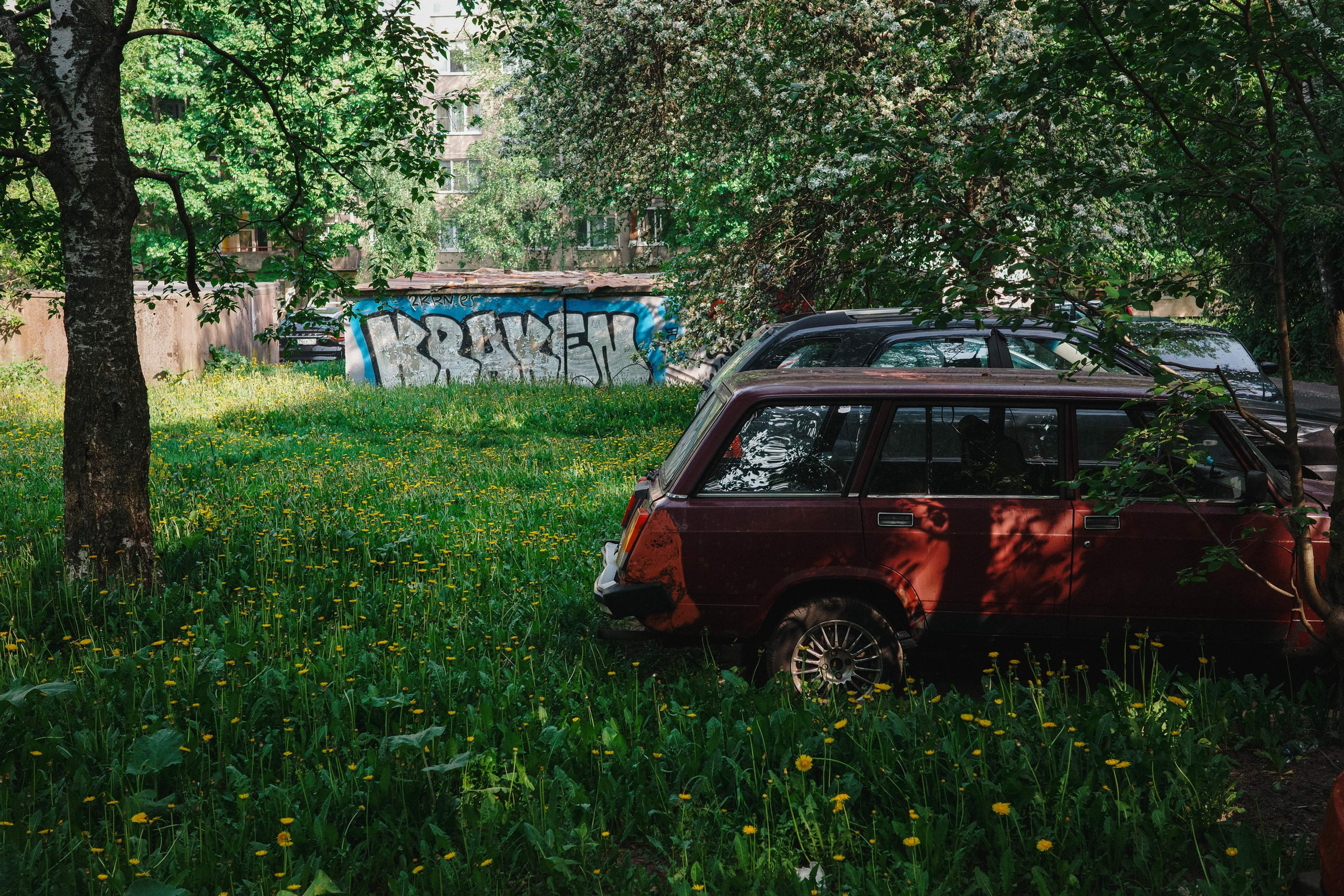 2024.05. Фотограф Алексей Алексеев