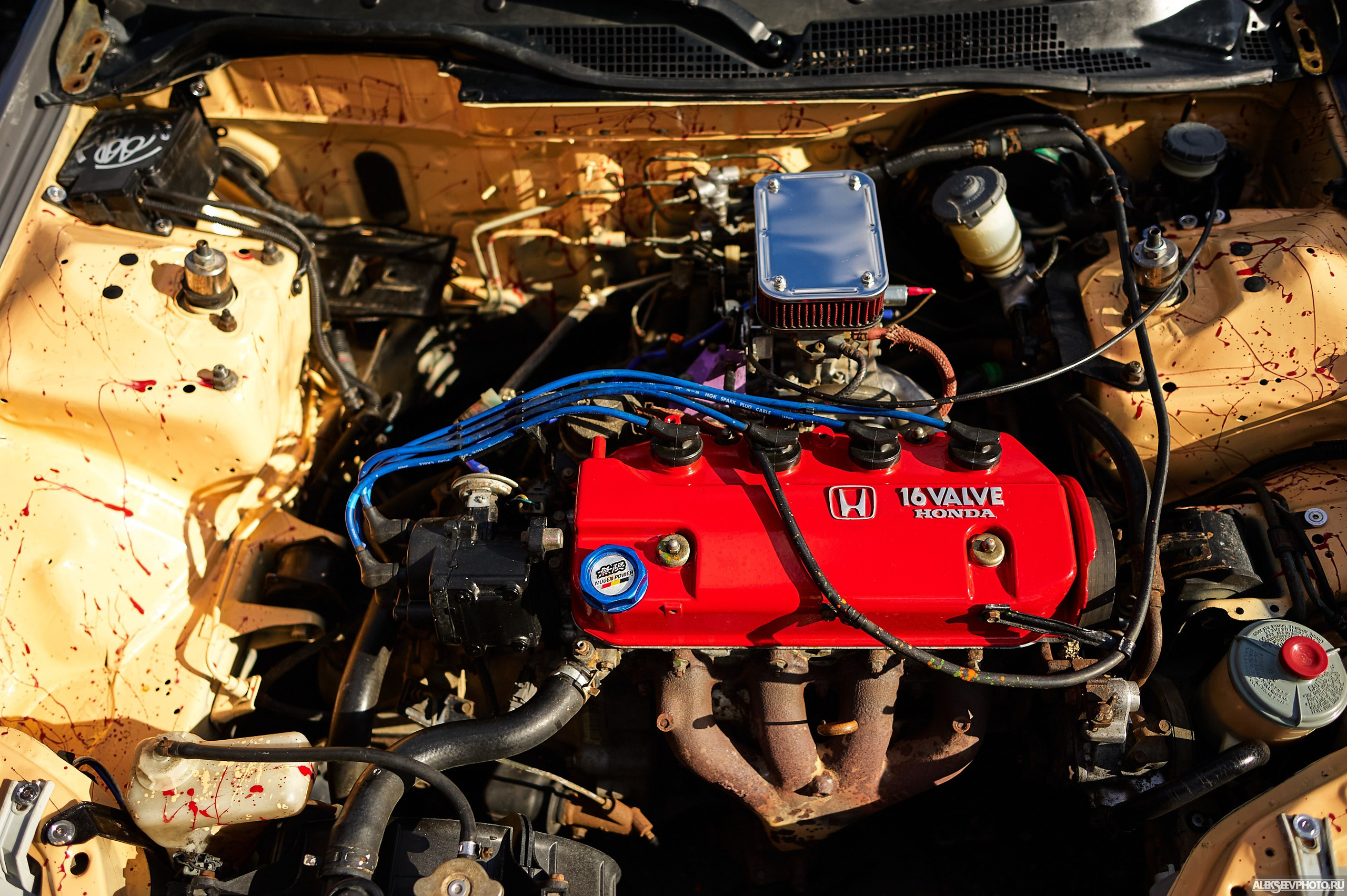 Tsunami Picnic 2020 — expo. Фотограф Алексей Алексеев