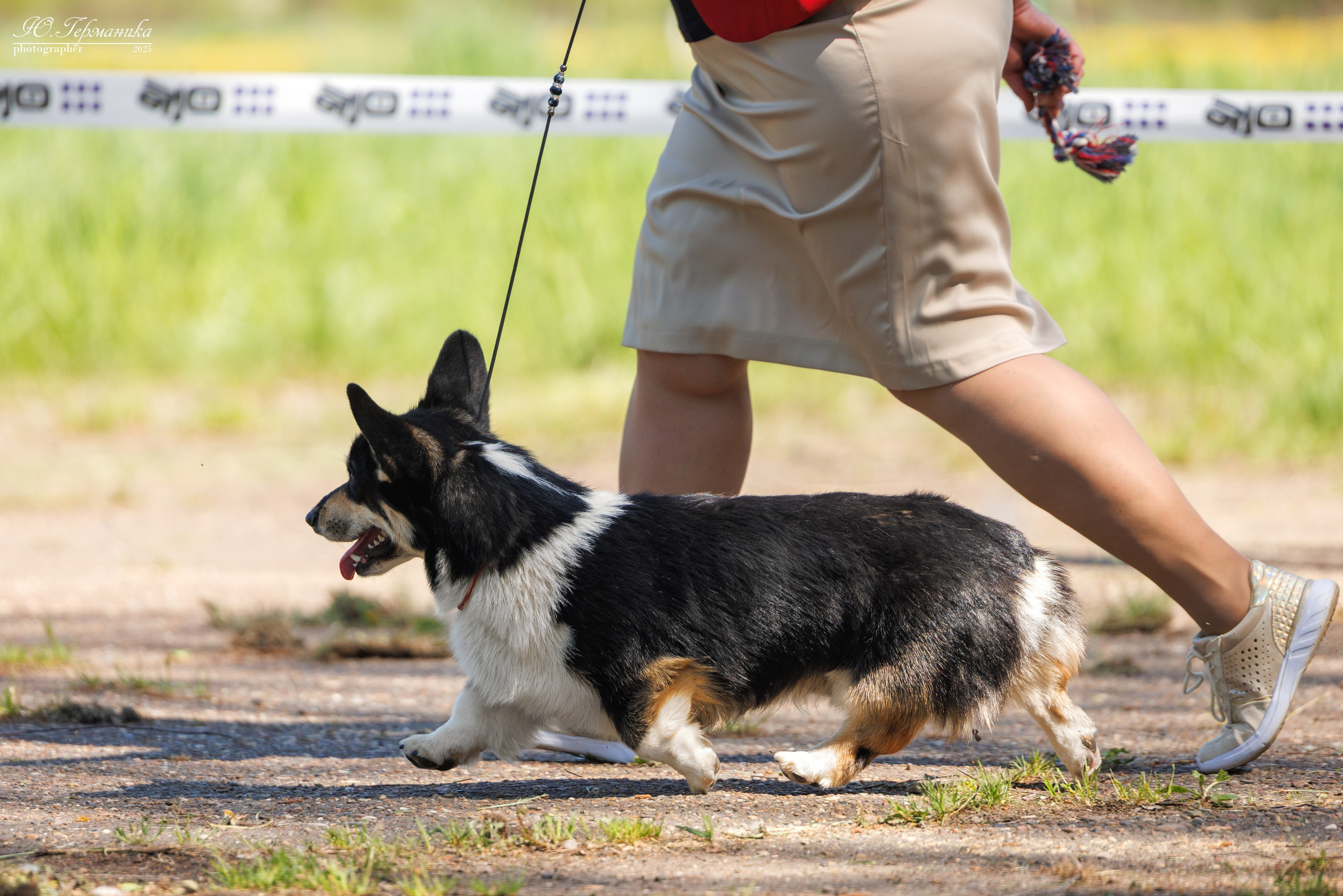 Тверь 24.05.2025. Фотограф-анималист Юлия Германика