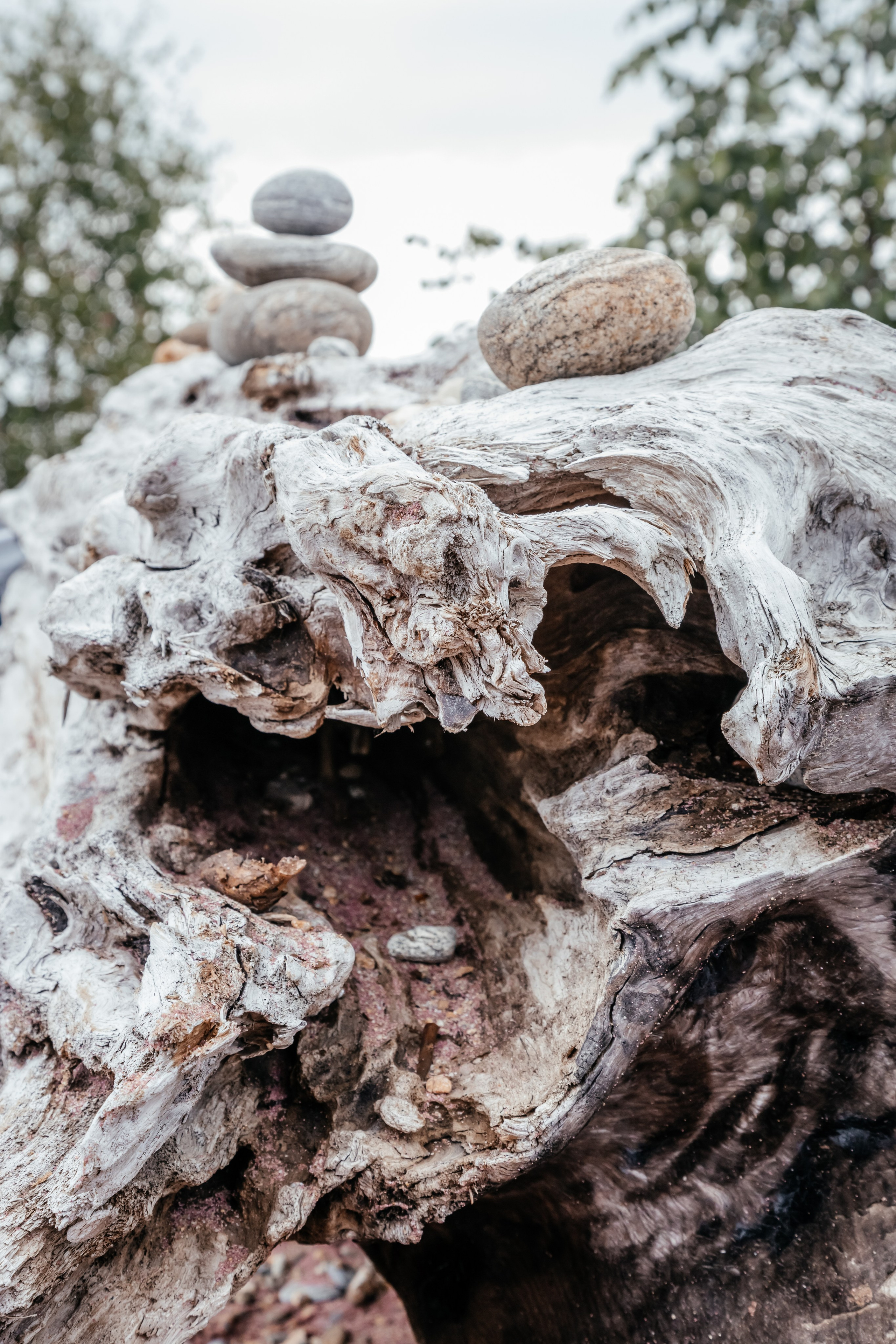 Байкал. Фотограф в Красноярске Оксана Корчагина